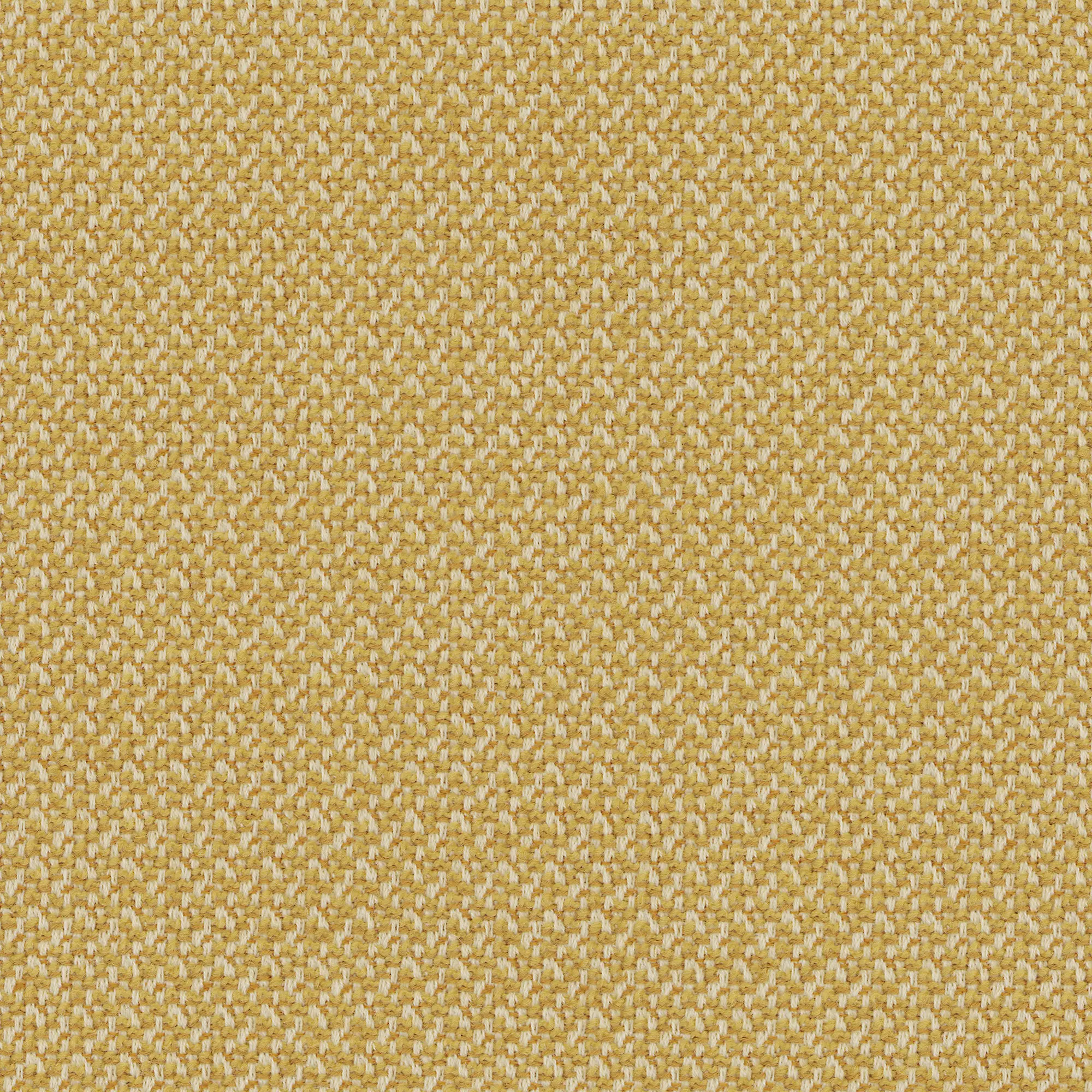 rohi - CLEO gold