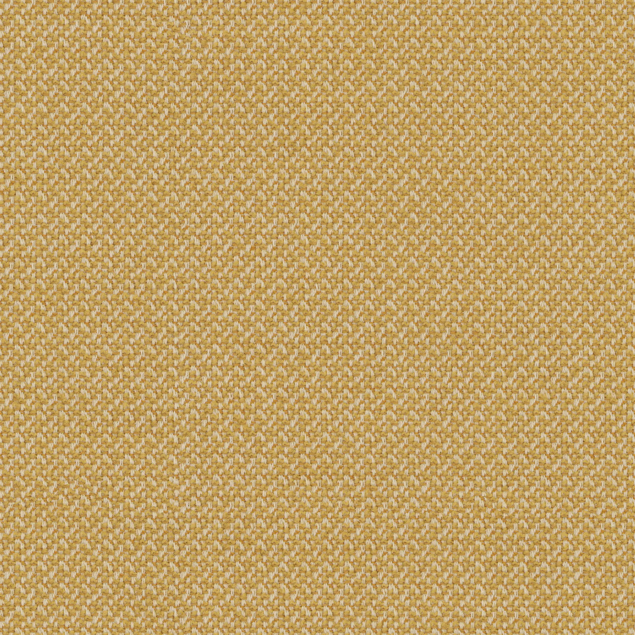 rohi - CLEO gold