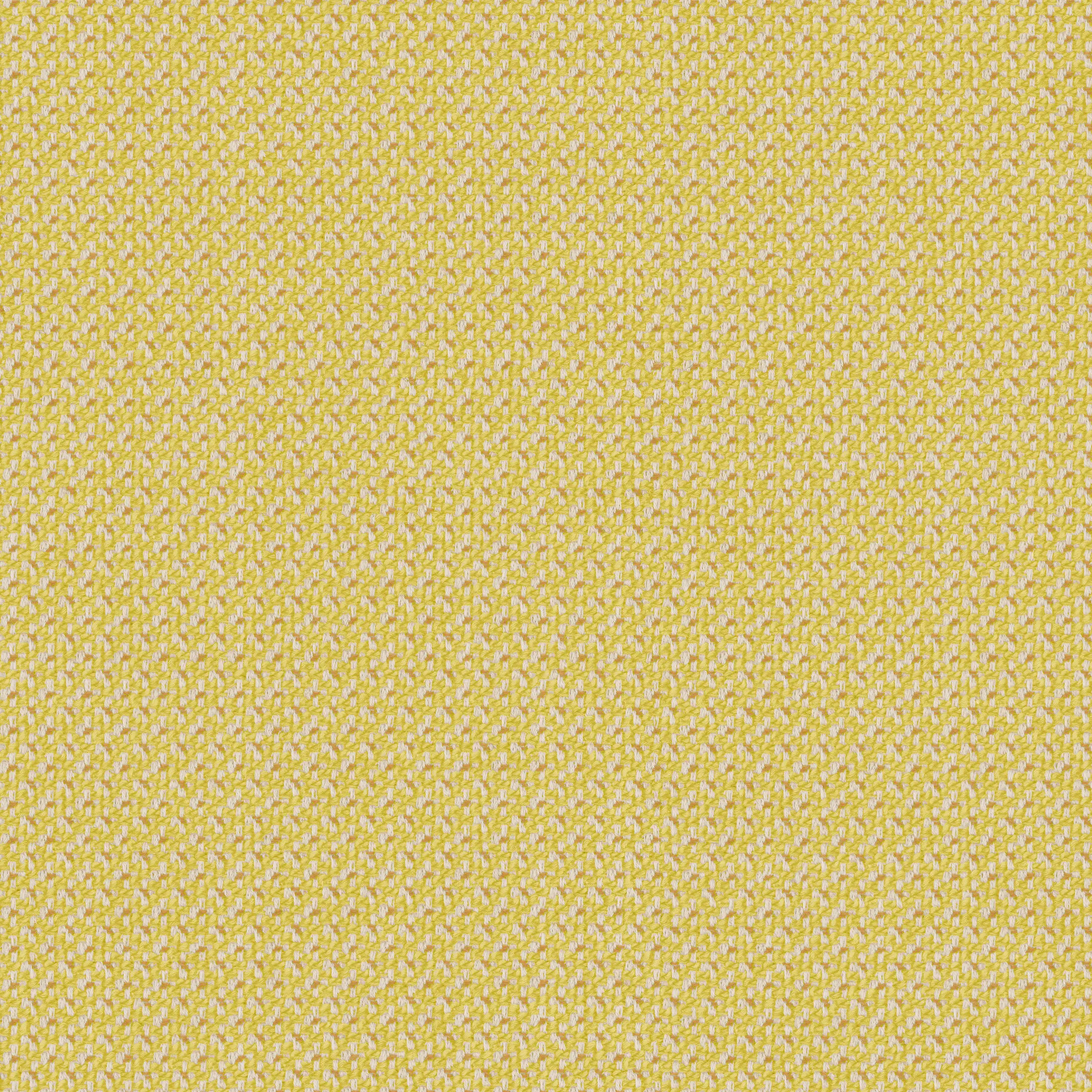rohi - CLEO lemon
