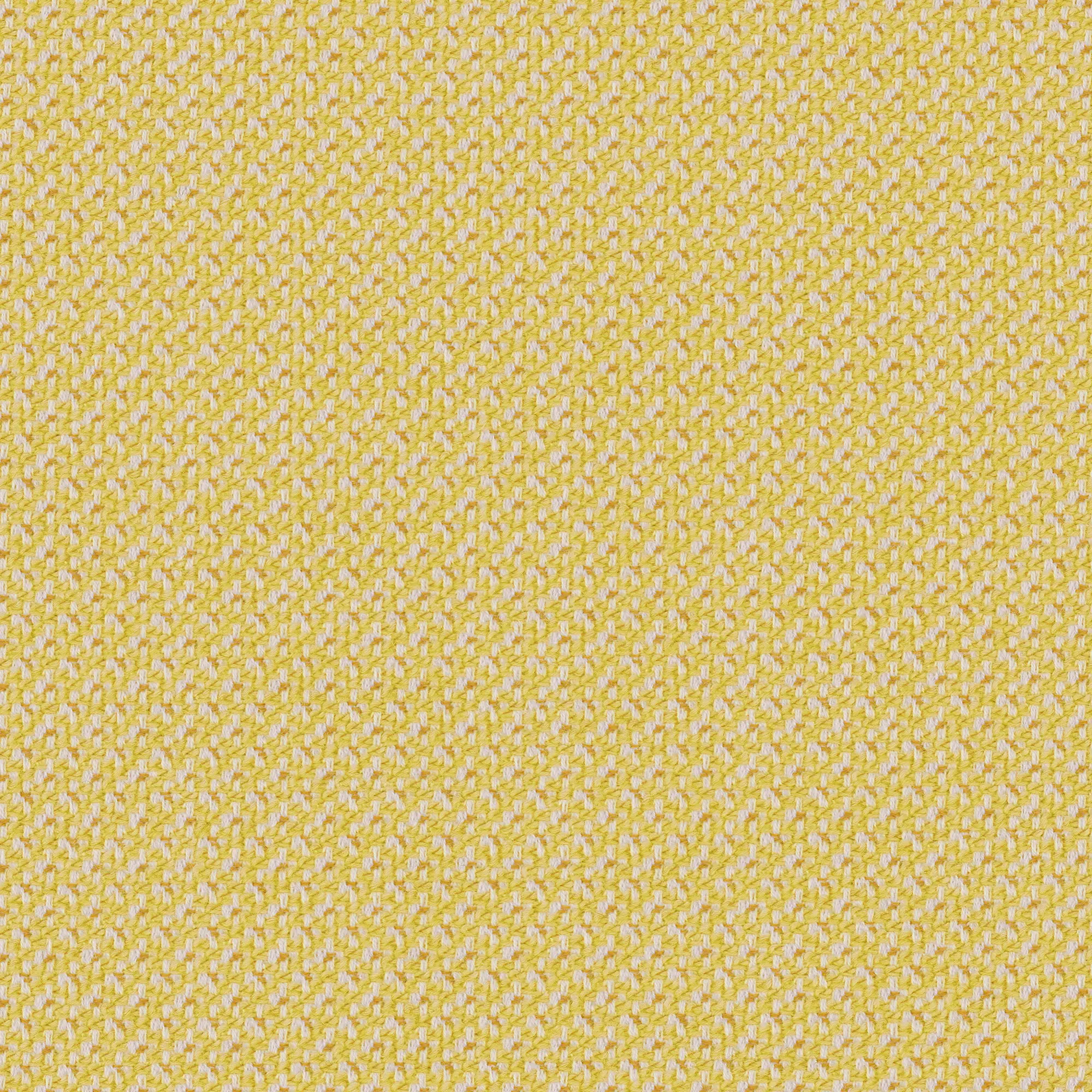 rohi - CLEO lemon