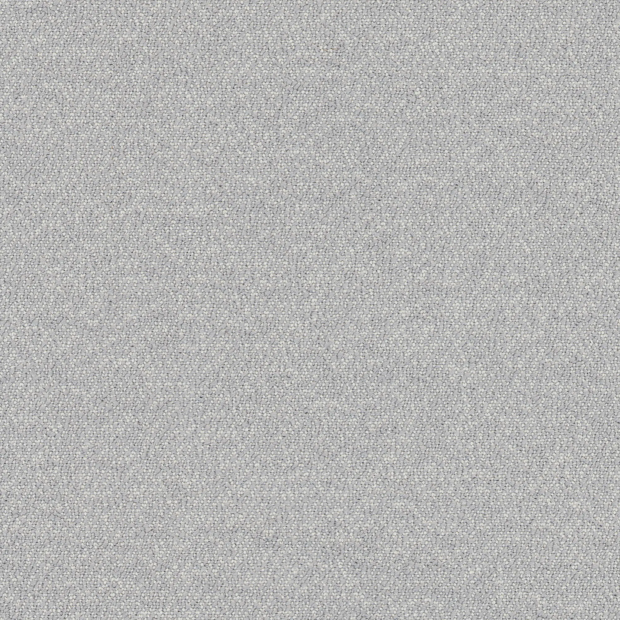 rohi - CENTO frost