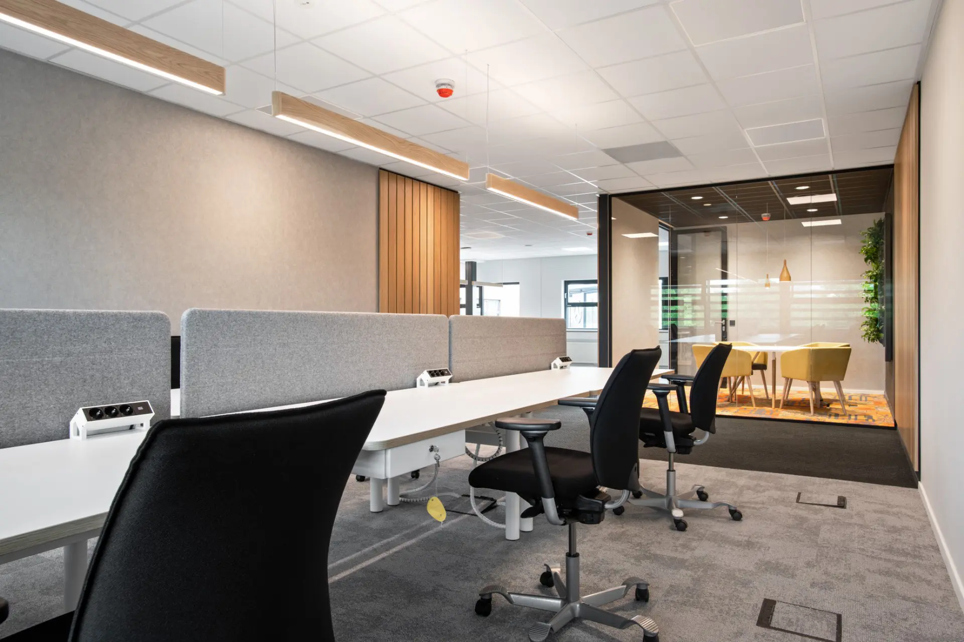 QC lightfactory - Q.oak pendant