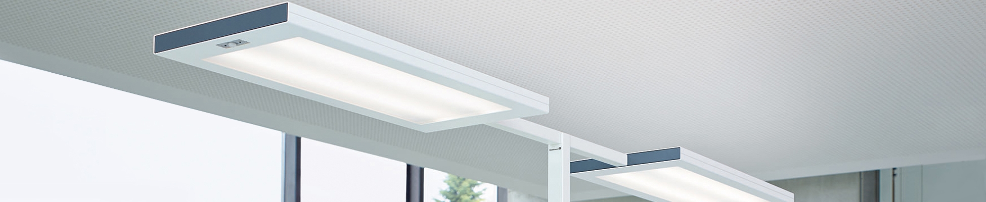 Discover the world of manufacturer Waldmann