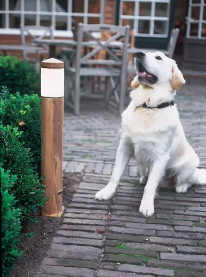 Royal Botania - Northpole Granite