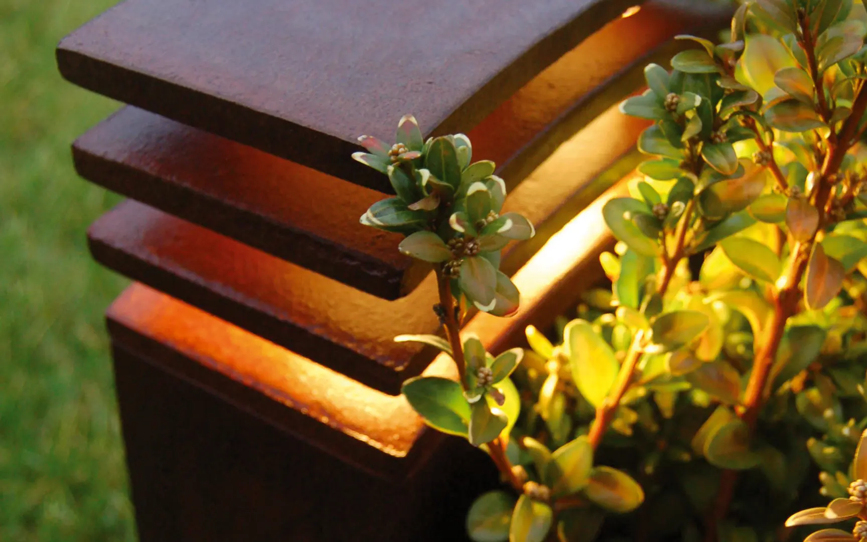 Royal Botania - Irony 70