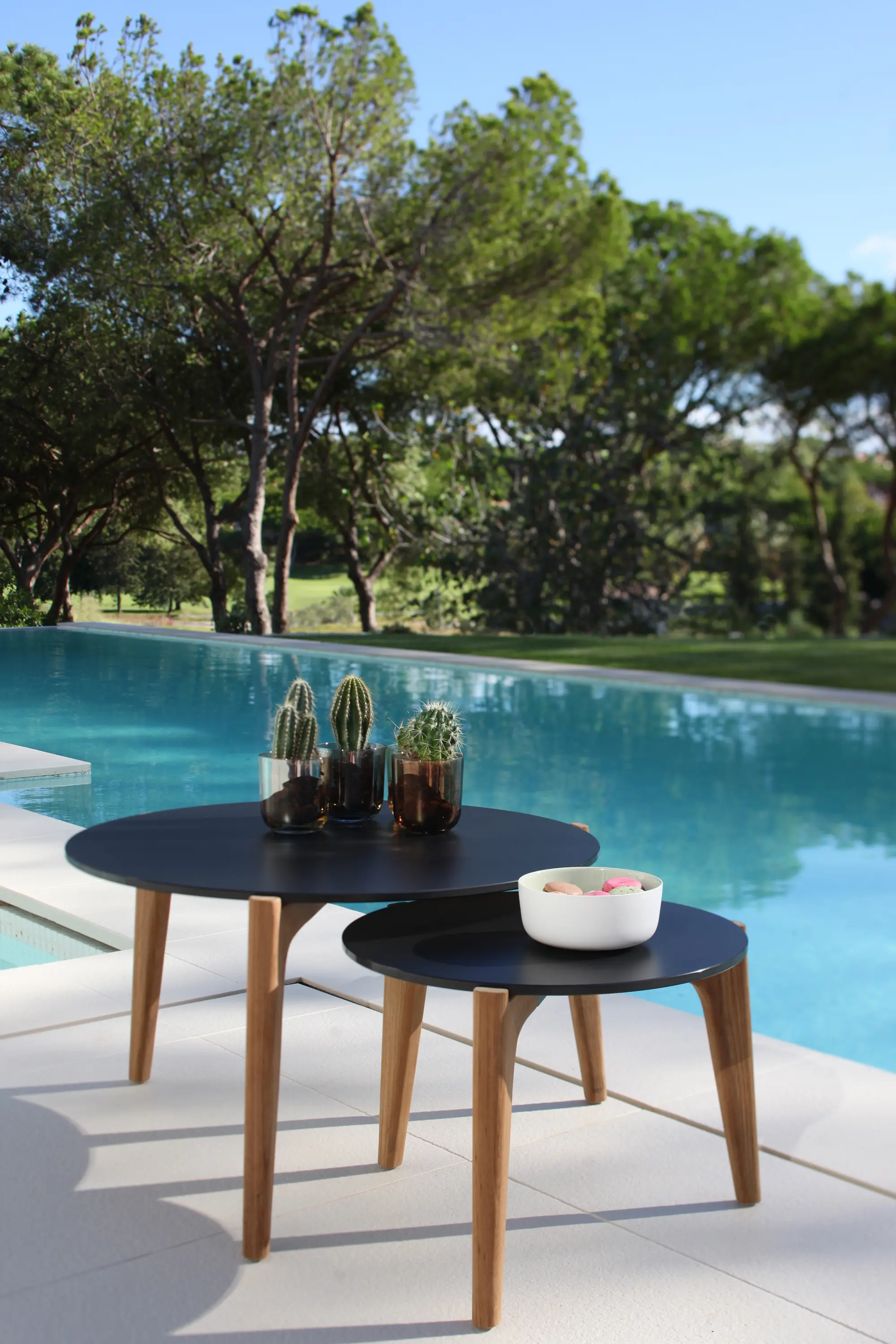 Royal Botania - Tea Time