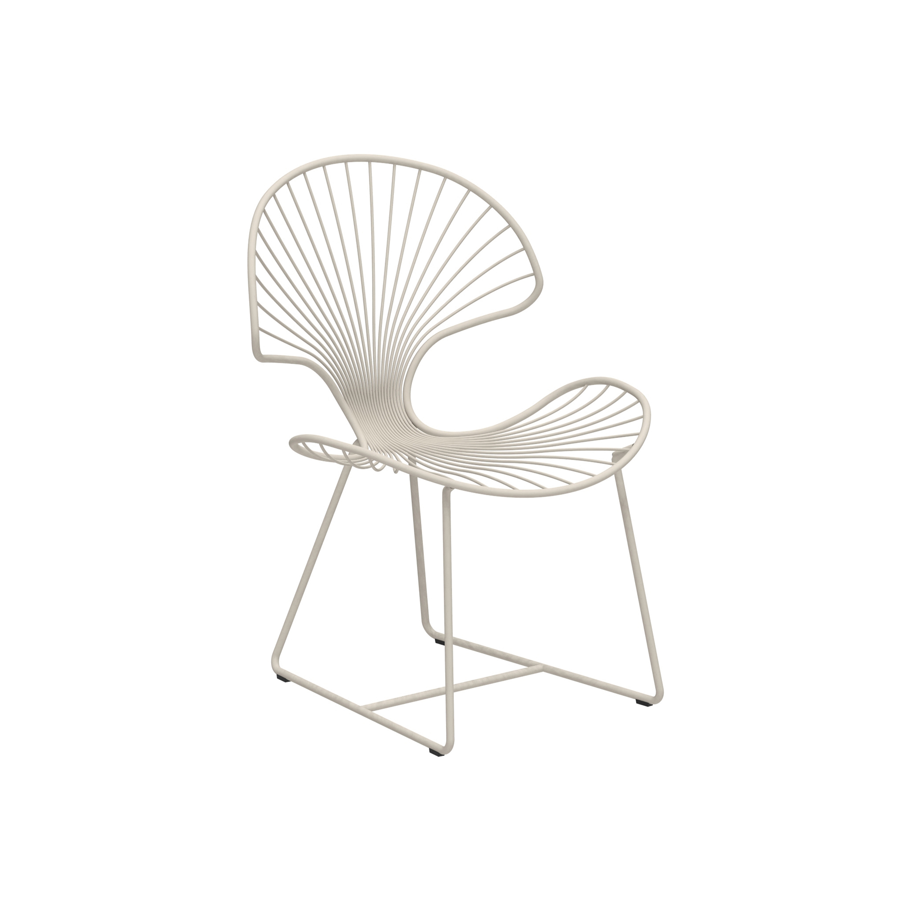 Ostrea chair