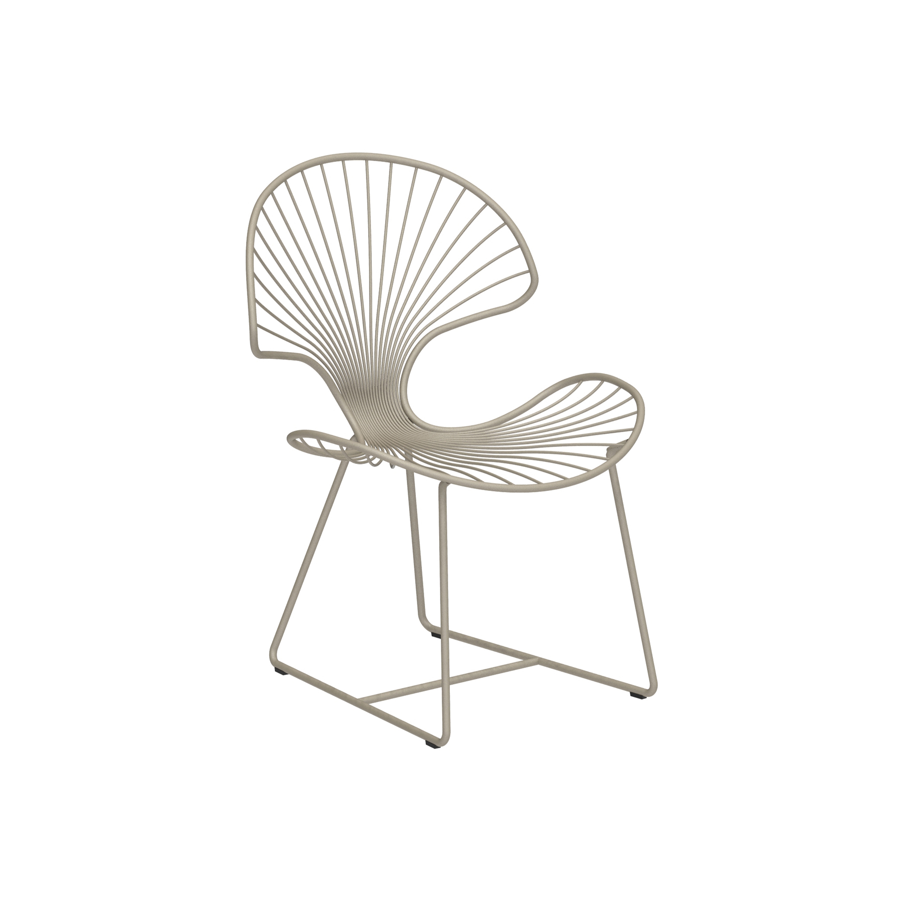 Ostrea chair