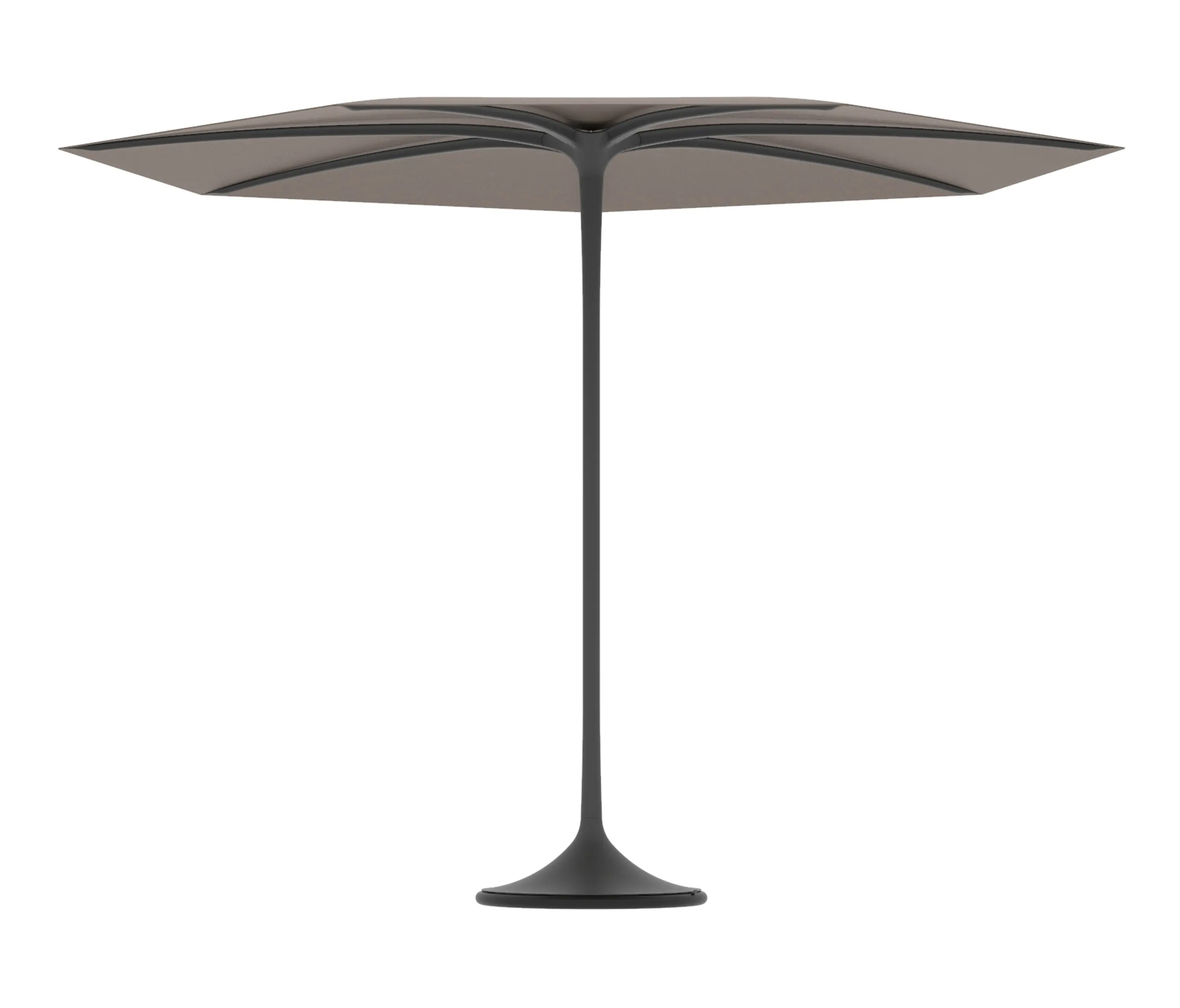 Royal Botania - Palma umbrella