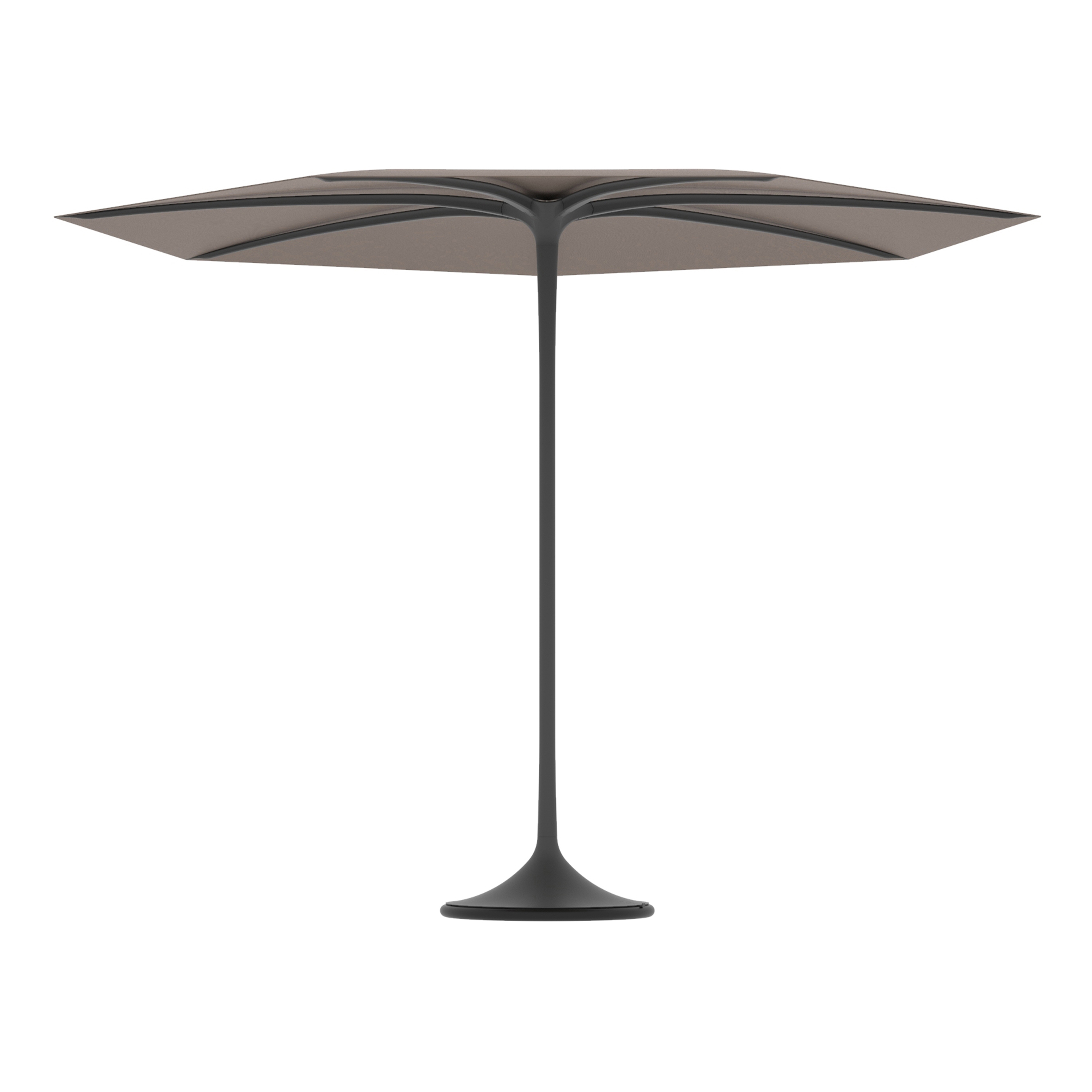 Palma umbrella