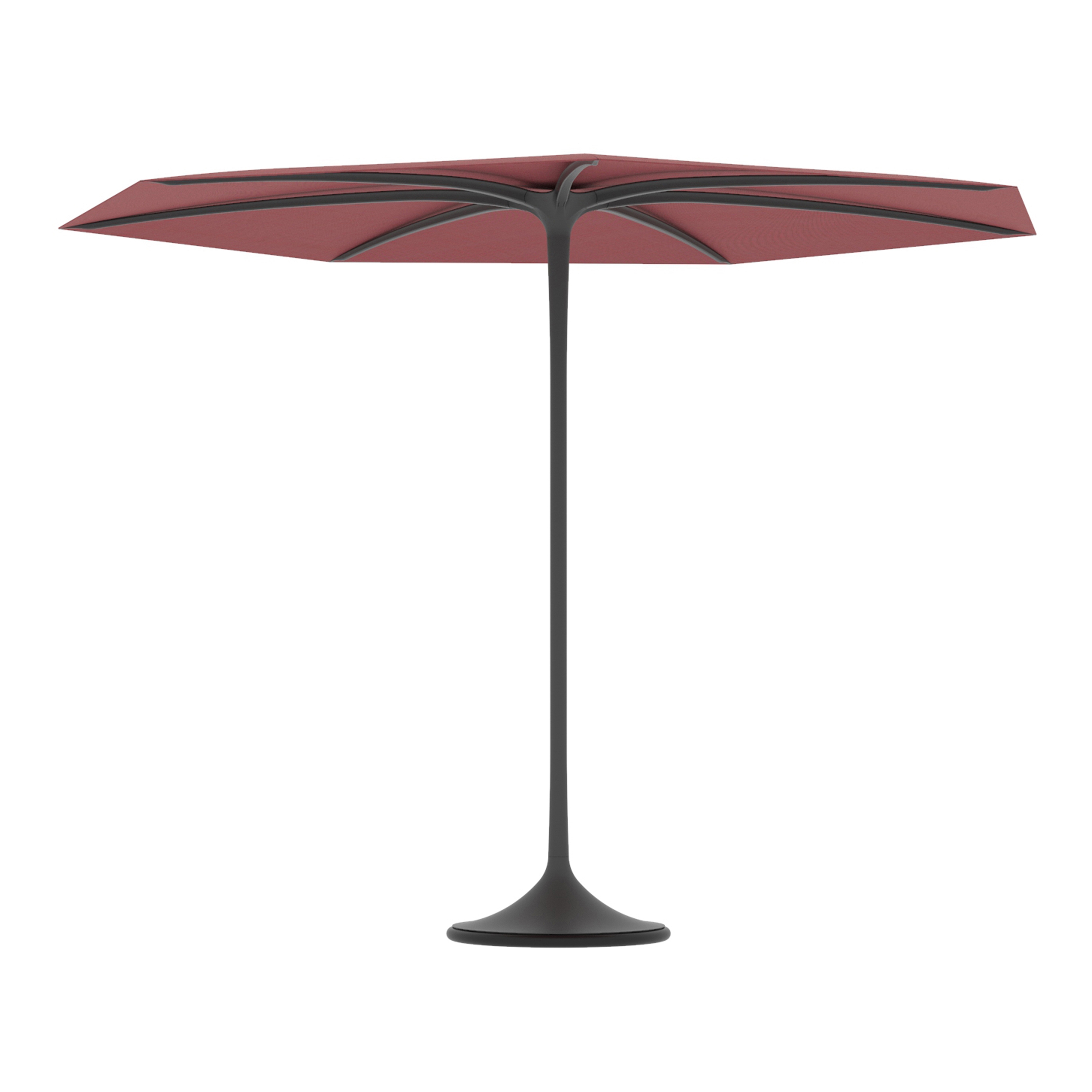 Palma umbrella