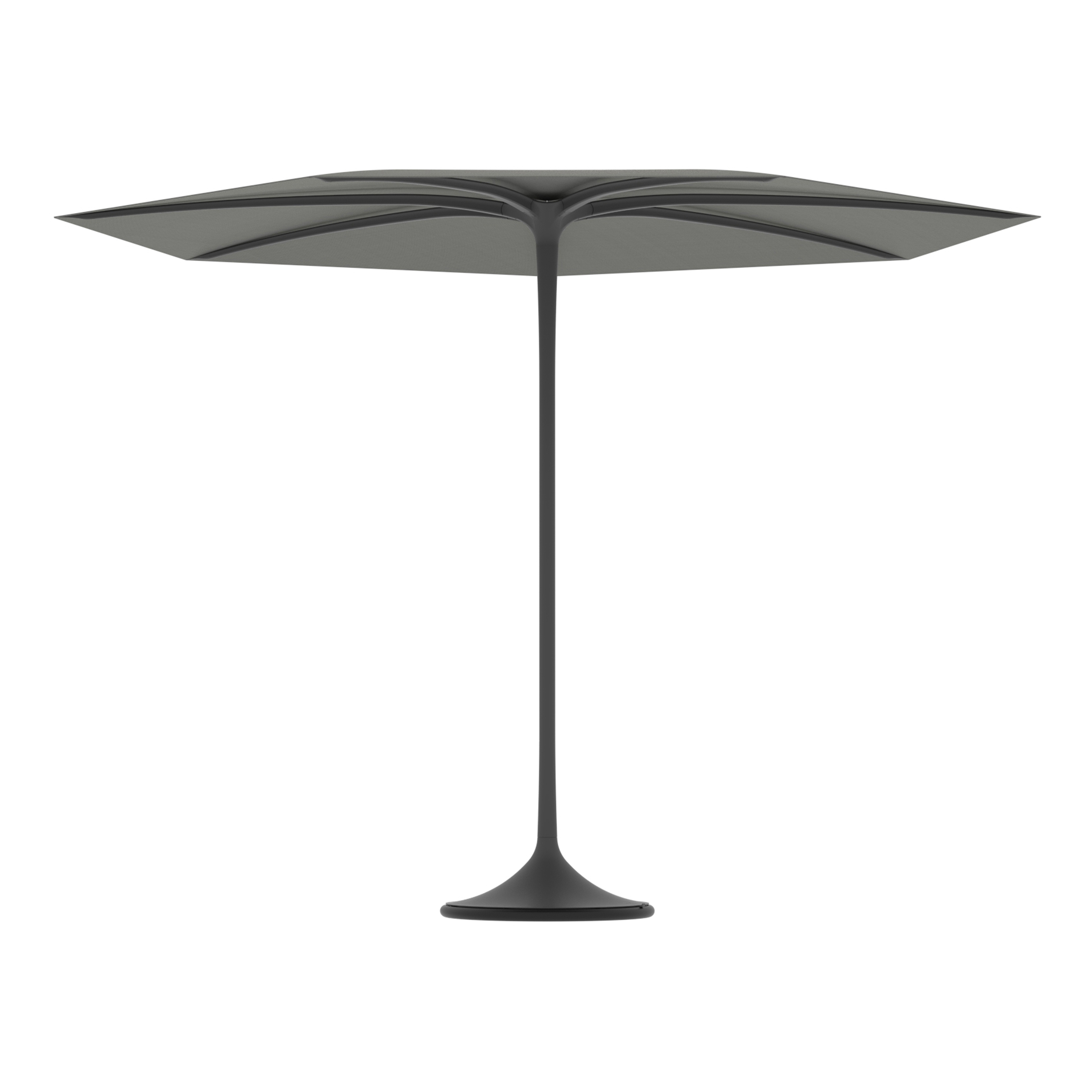 Palma umbrella