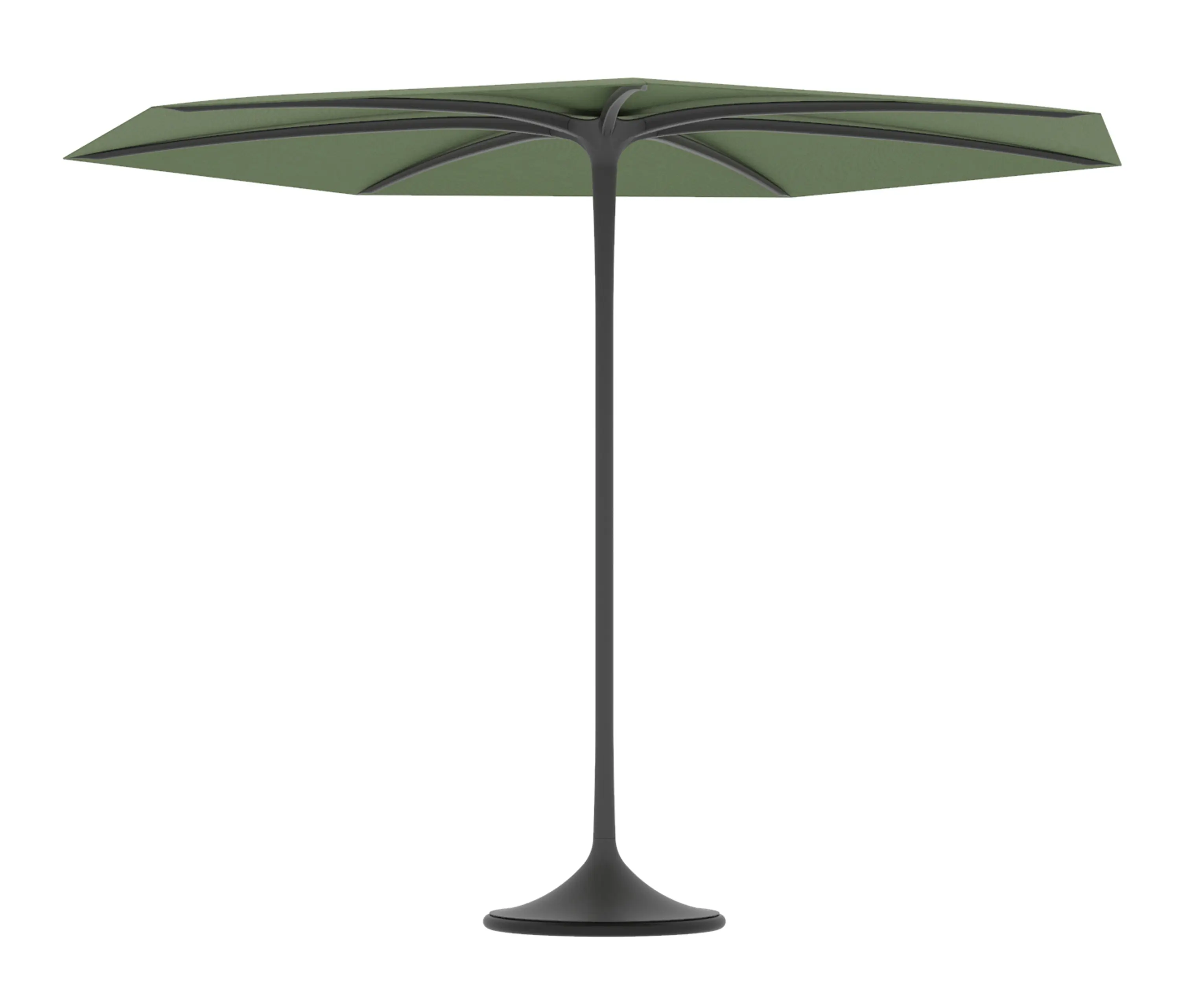 Royal Botania - Palma umbrella
