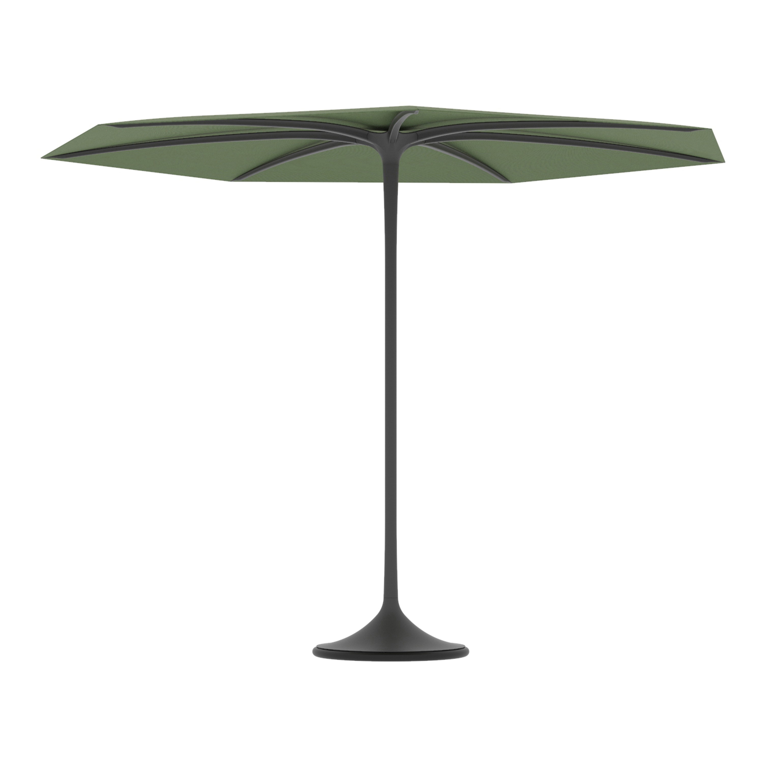 Palma umbrella