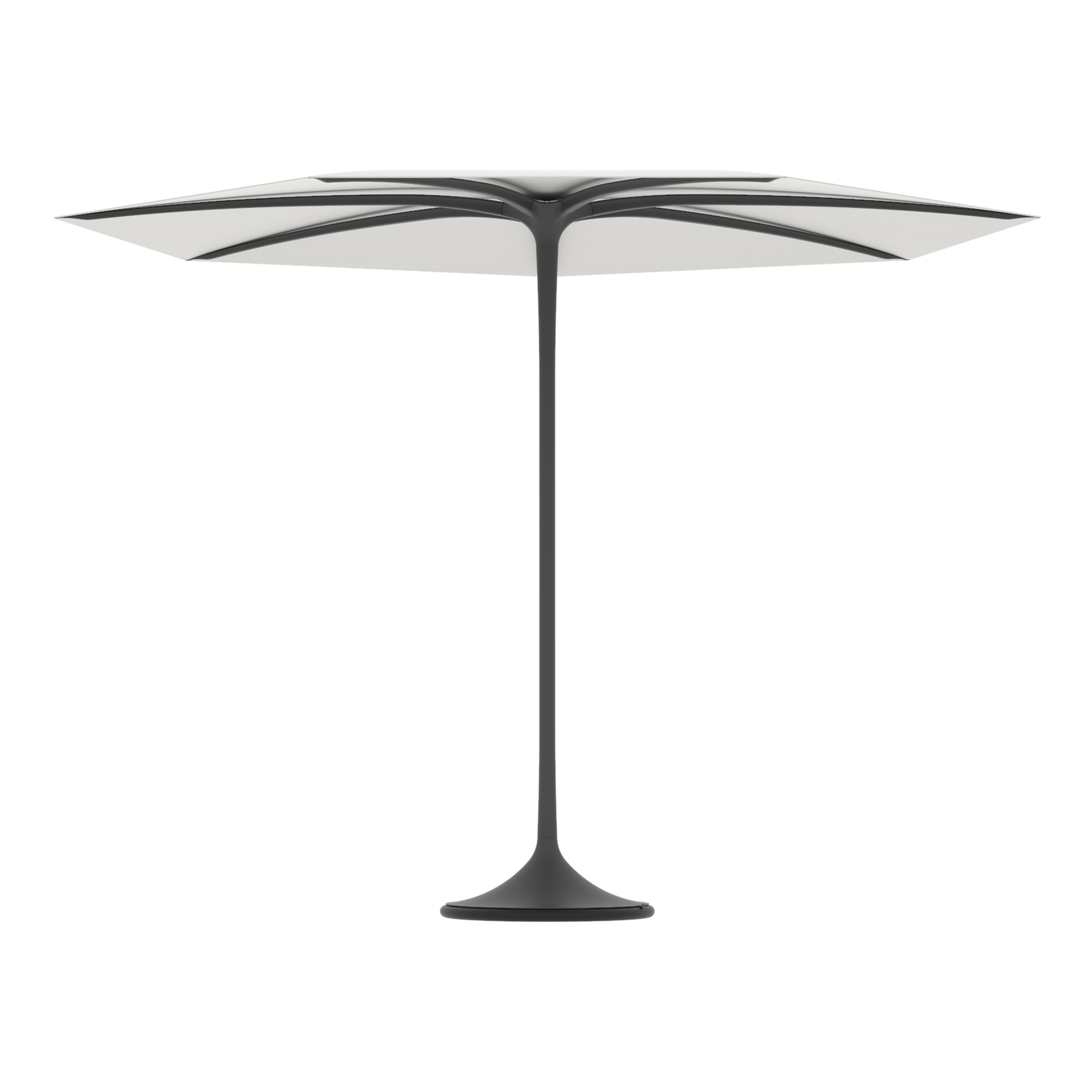 Palma umbrella