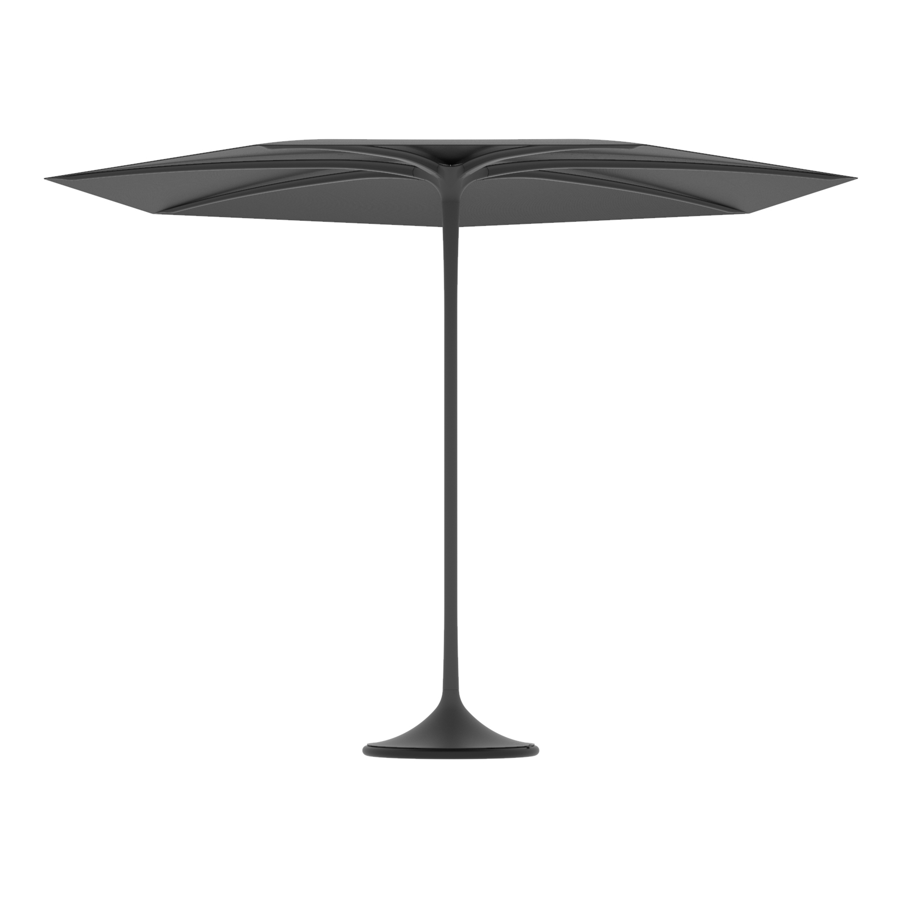 Palma umbrella