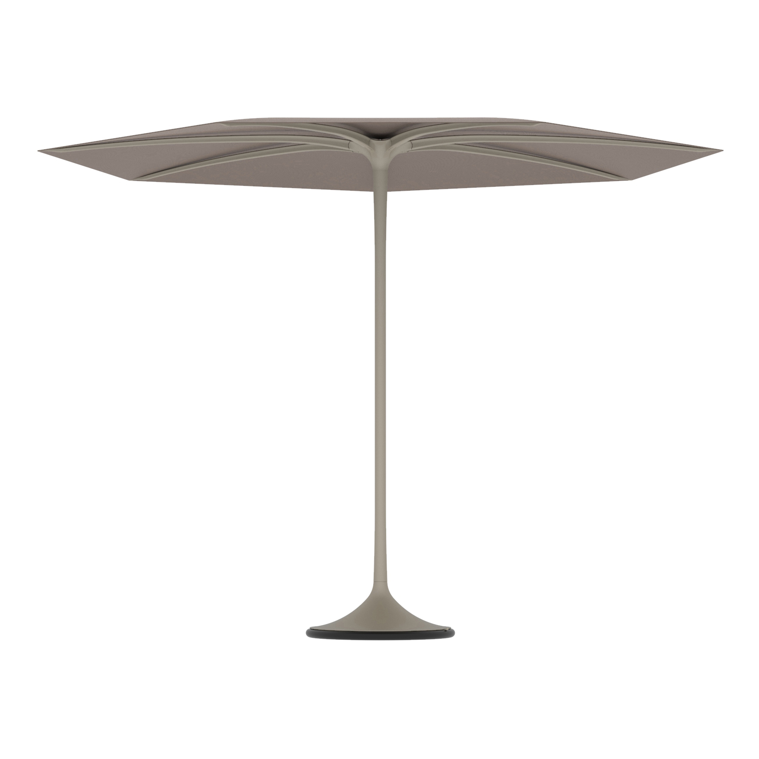 Palma umbrella