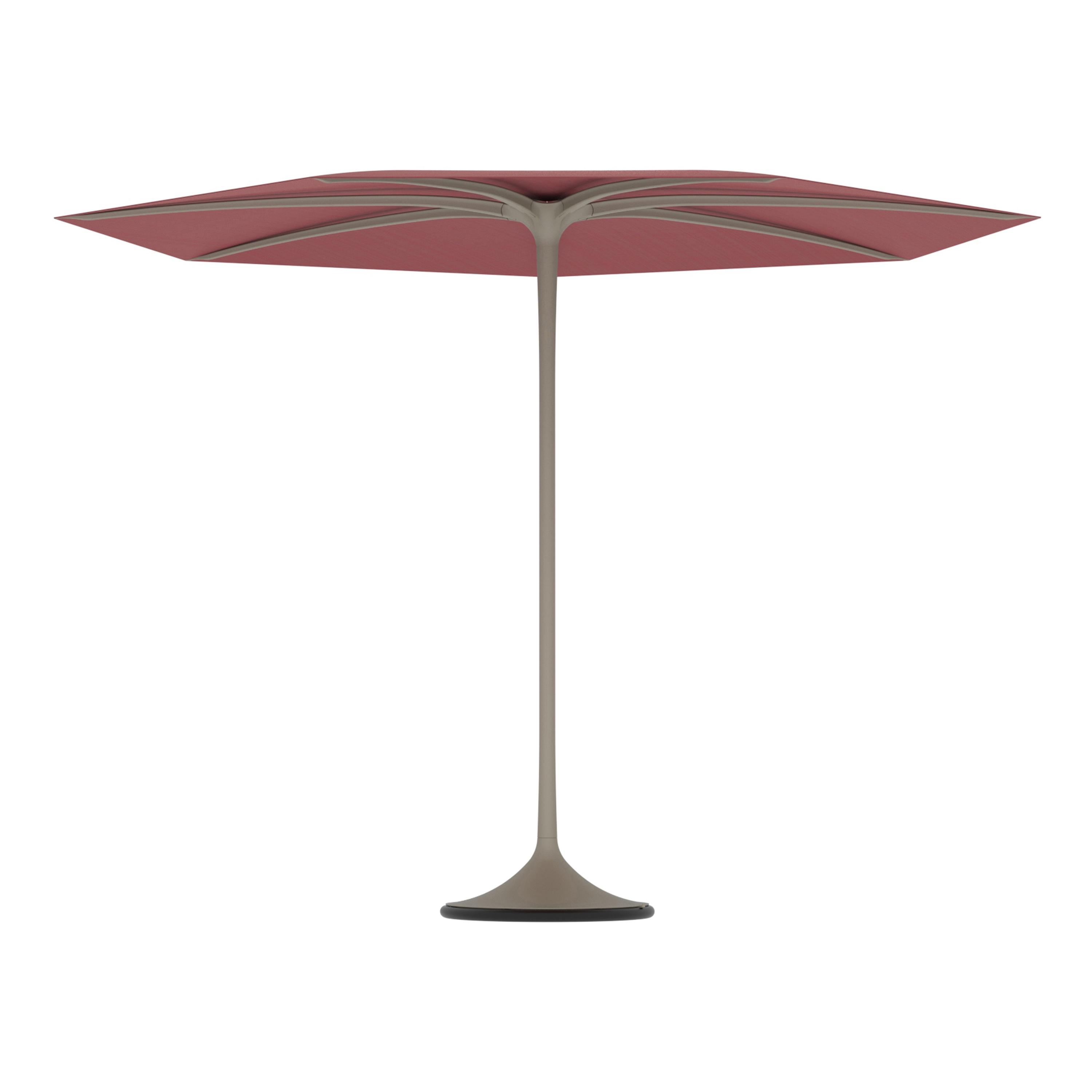 Palma umbrella