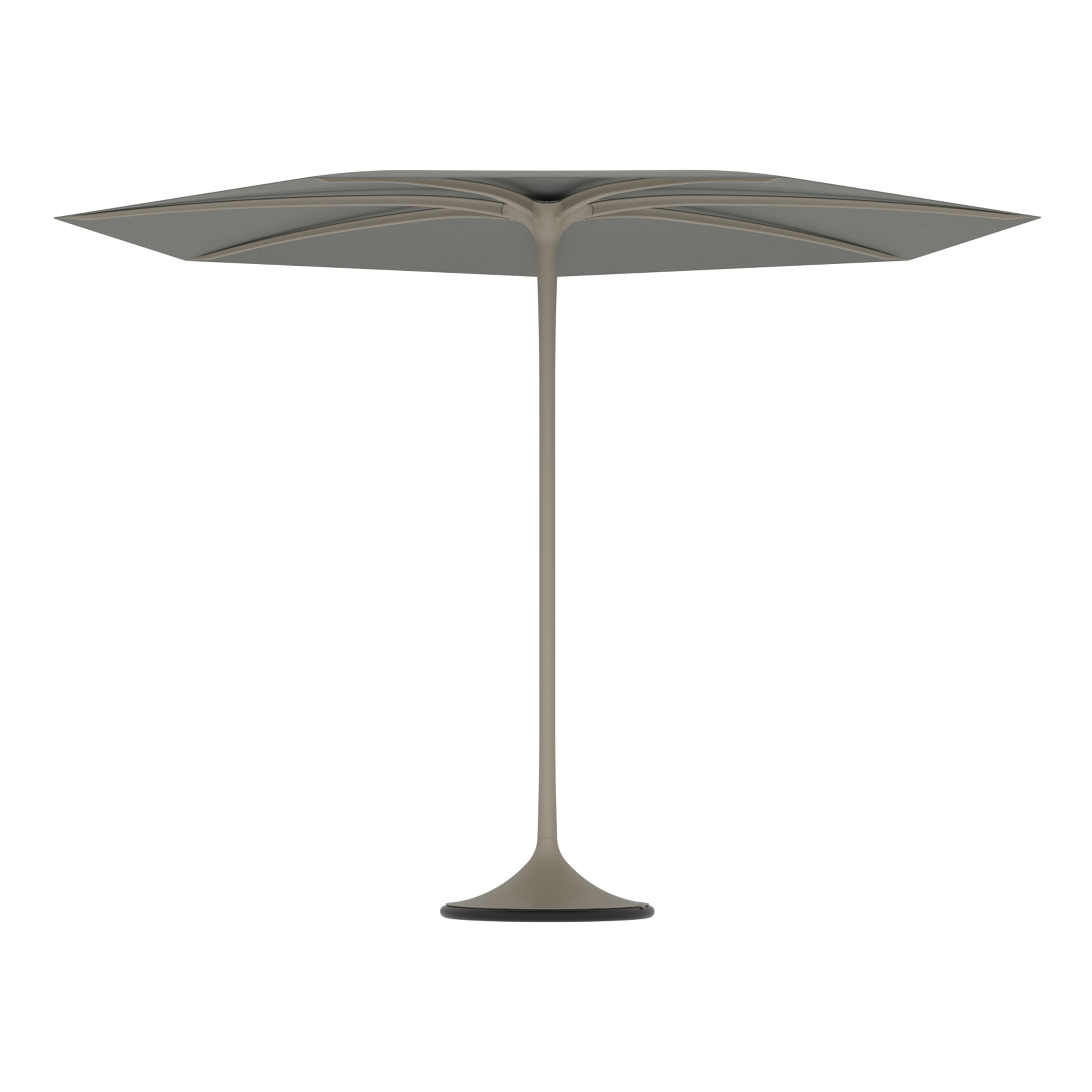 Palma umbrella