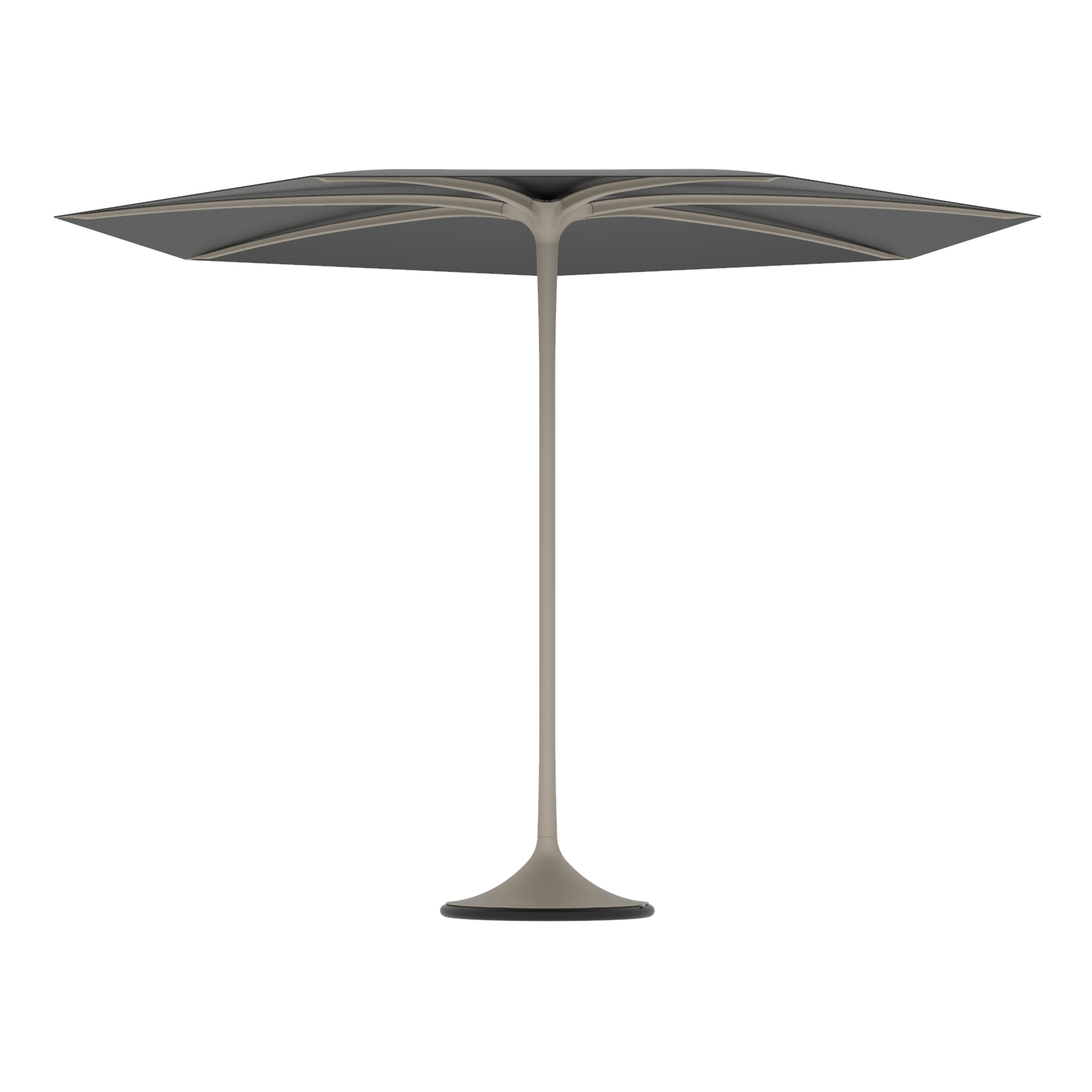 Palma umbrella