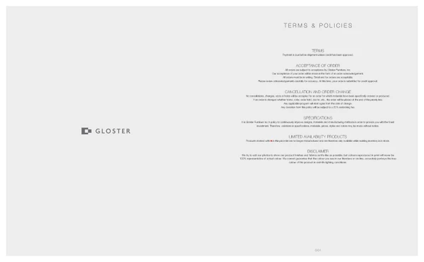Preview image for the file TERMS & POLICIES (USA)