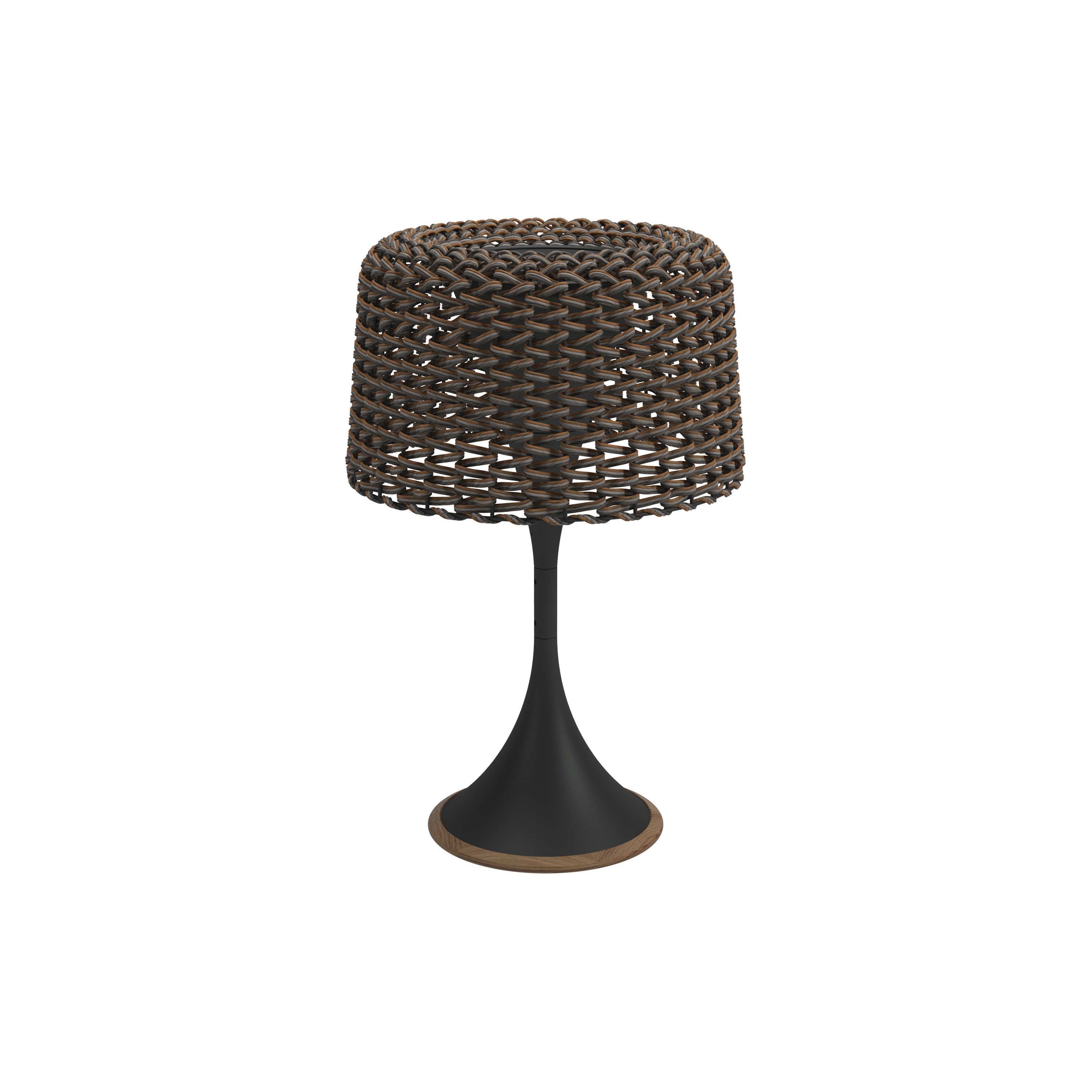 Ambient Mesh Carob