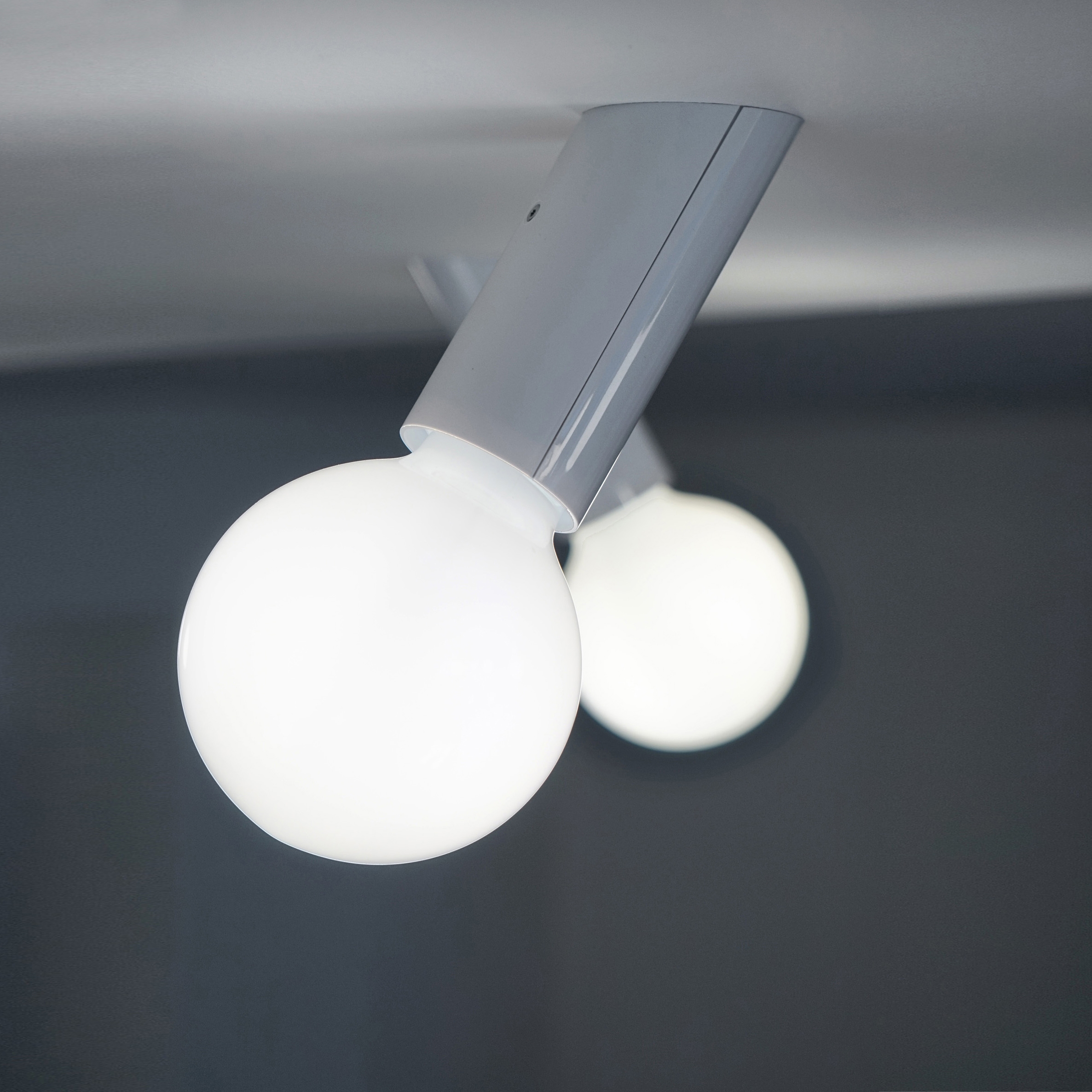 Produkt DNA Easy des Herstellers next anzeigen