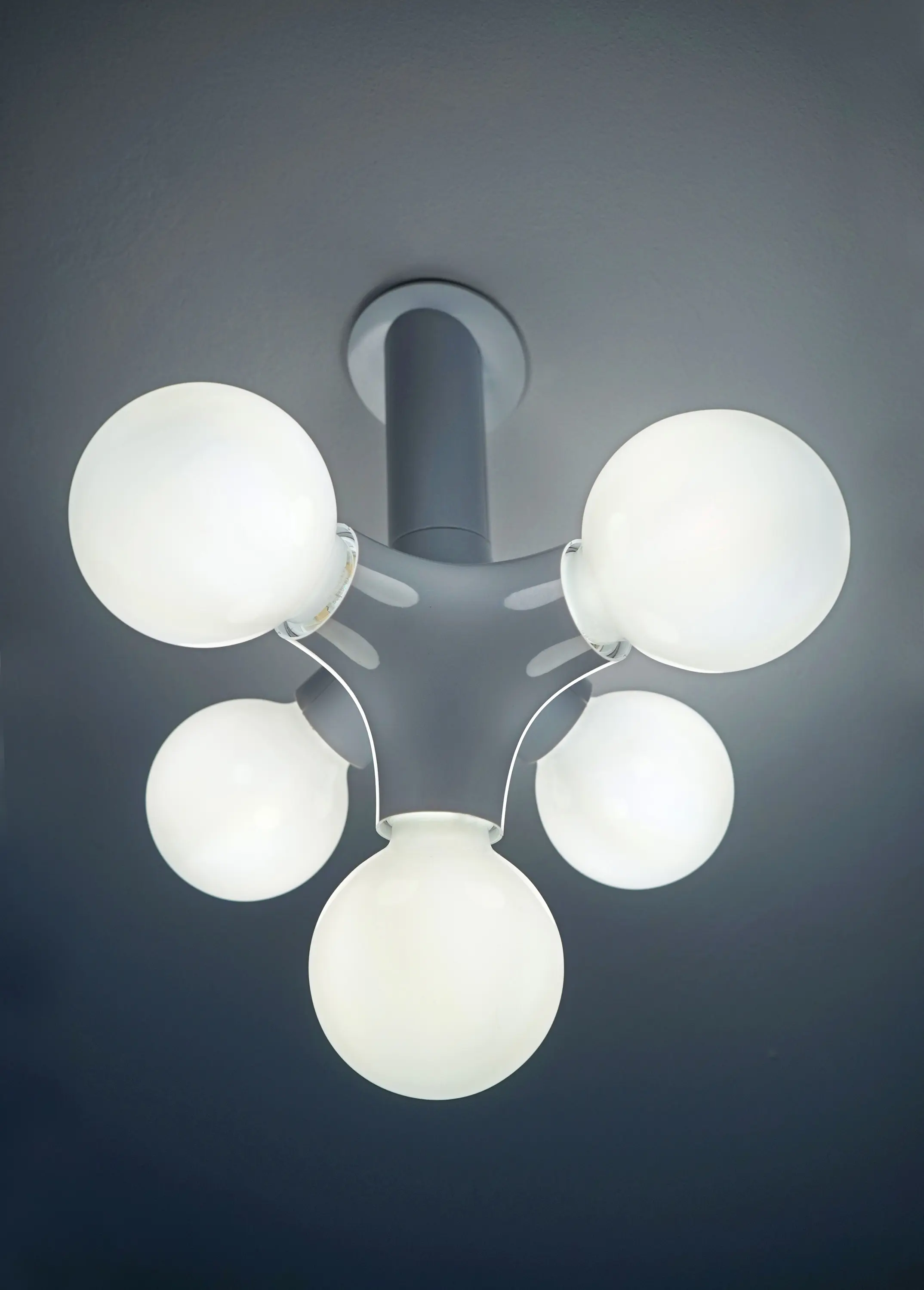 next - DNA wall / ceiling double