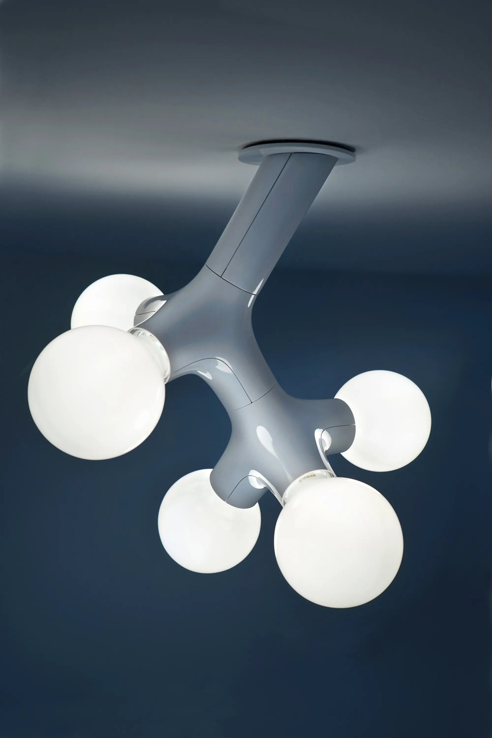 next - DNA wall / ceiling double