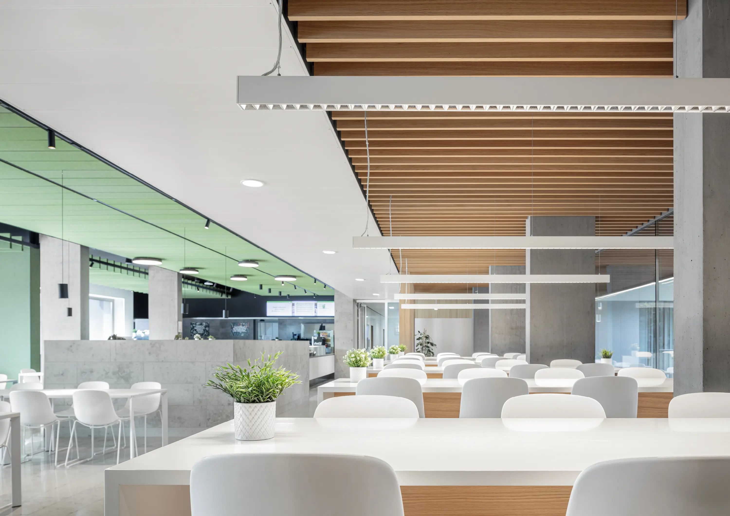 XAL - BETO ceiling system