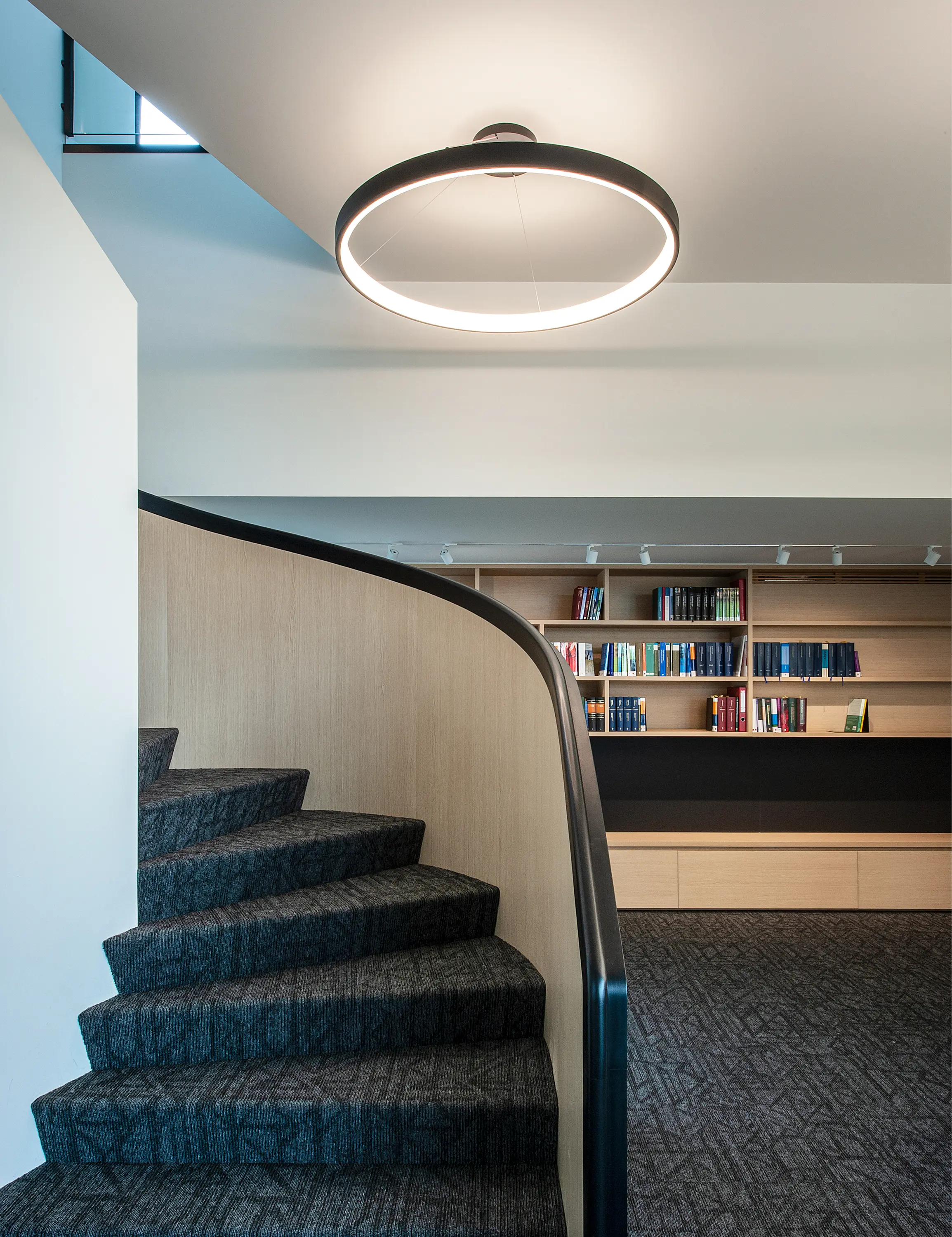 XAL - INO circle suspended