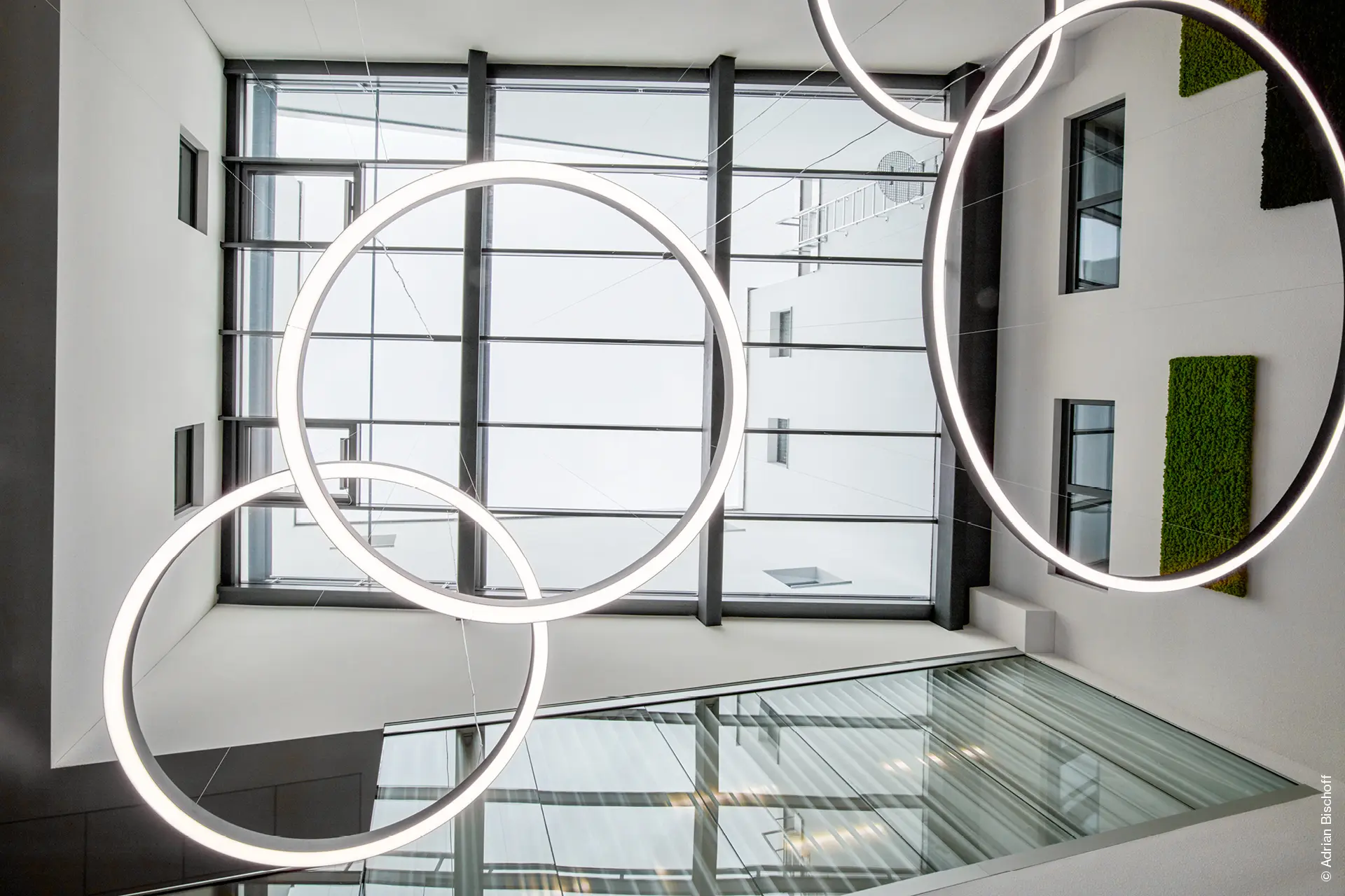 XAL - MINO 60 CIRCLE suspended