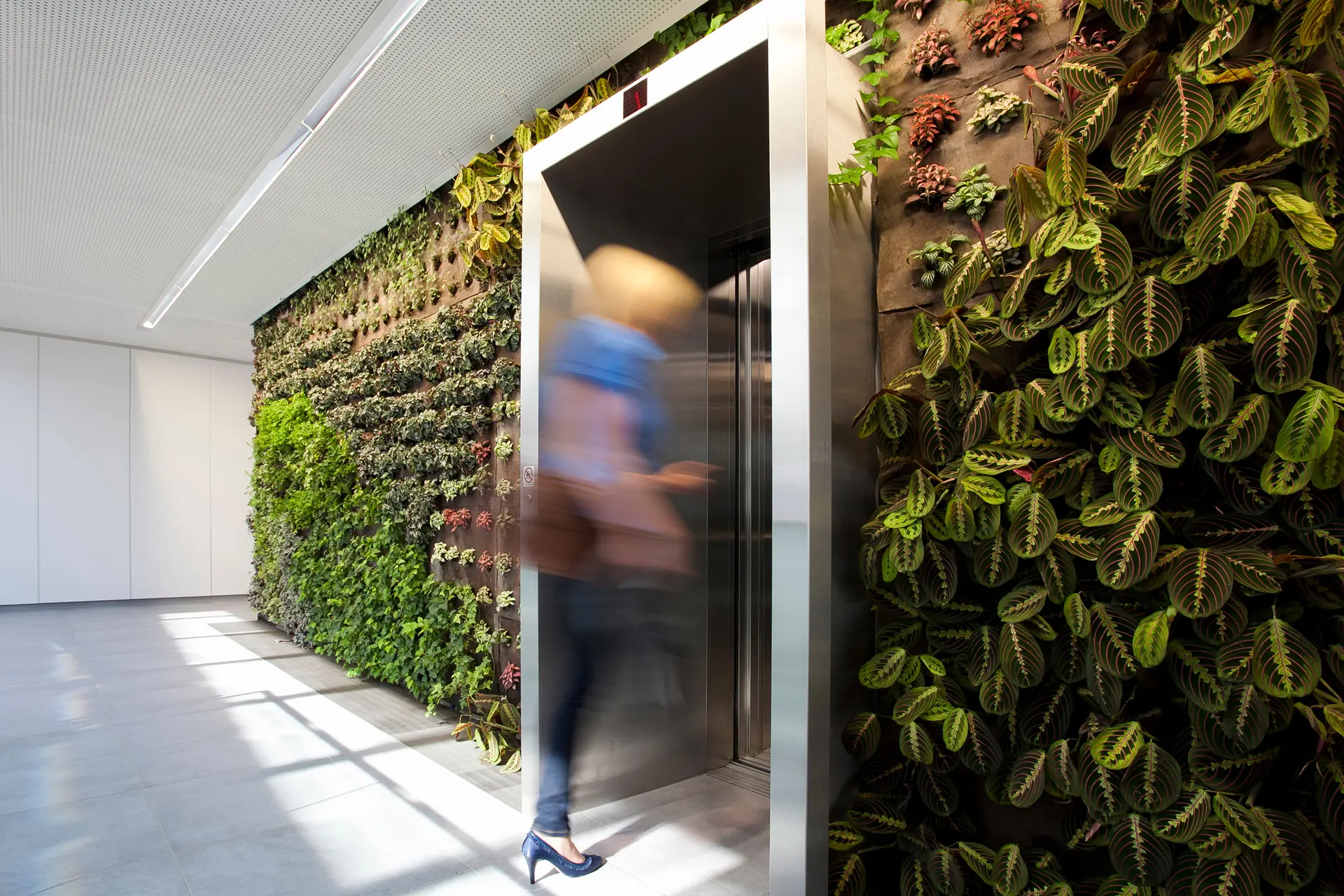 XAL - MINIMAL 60 trimless recessed