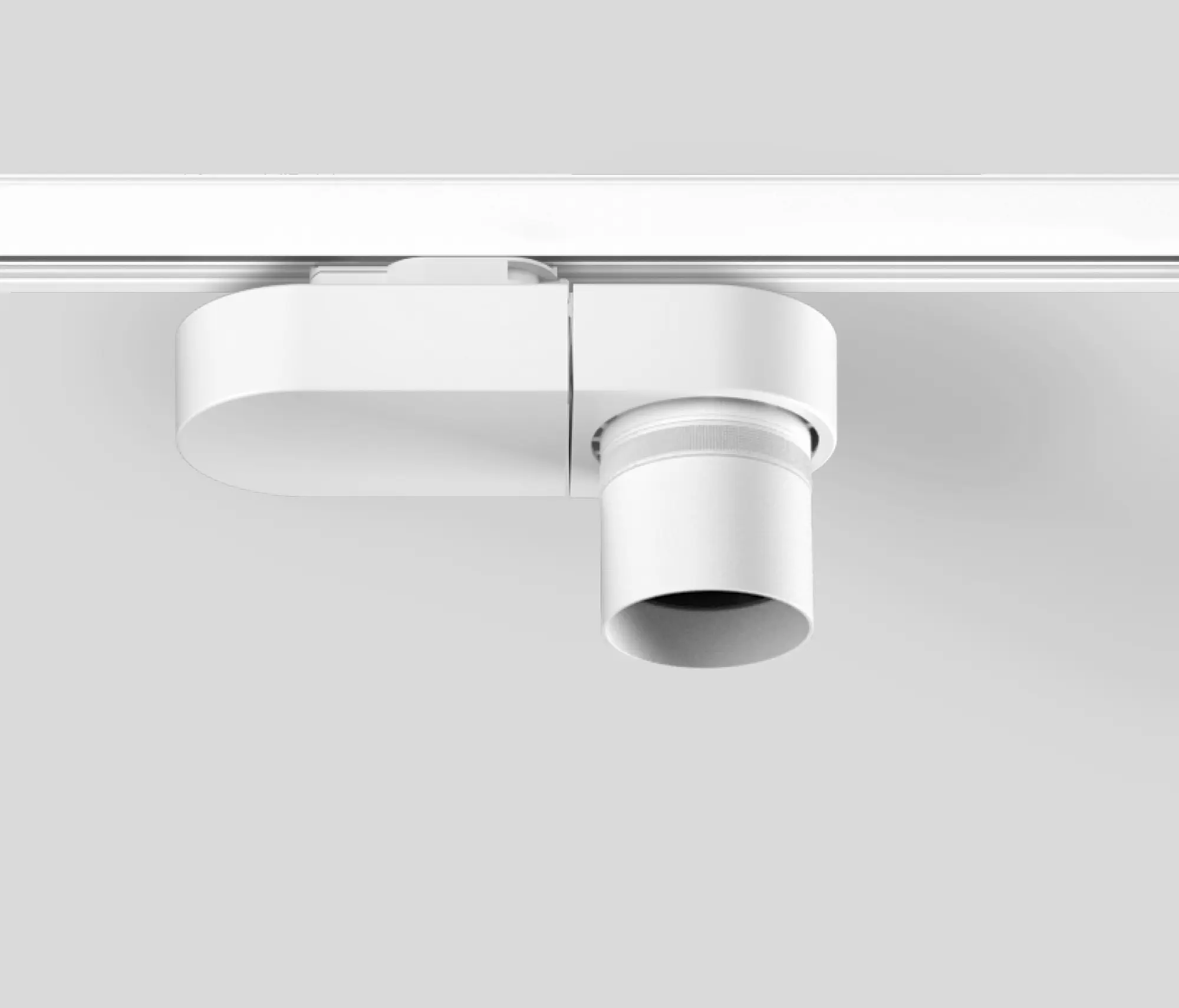 XAL - PABLO focus track