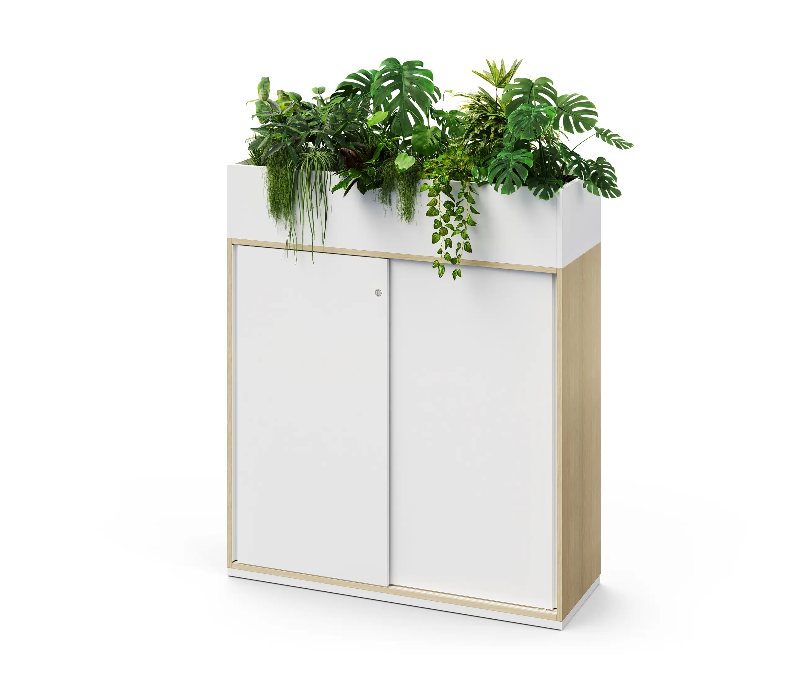 König+Neurath - ACTA.PLUS