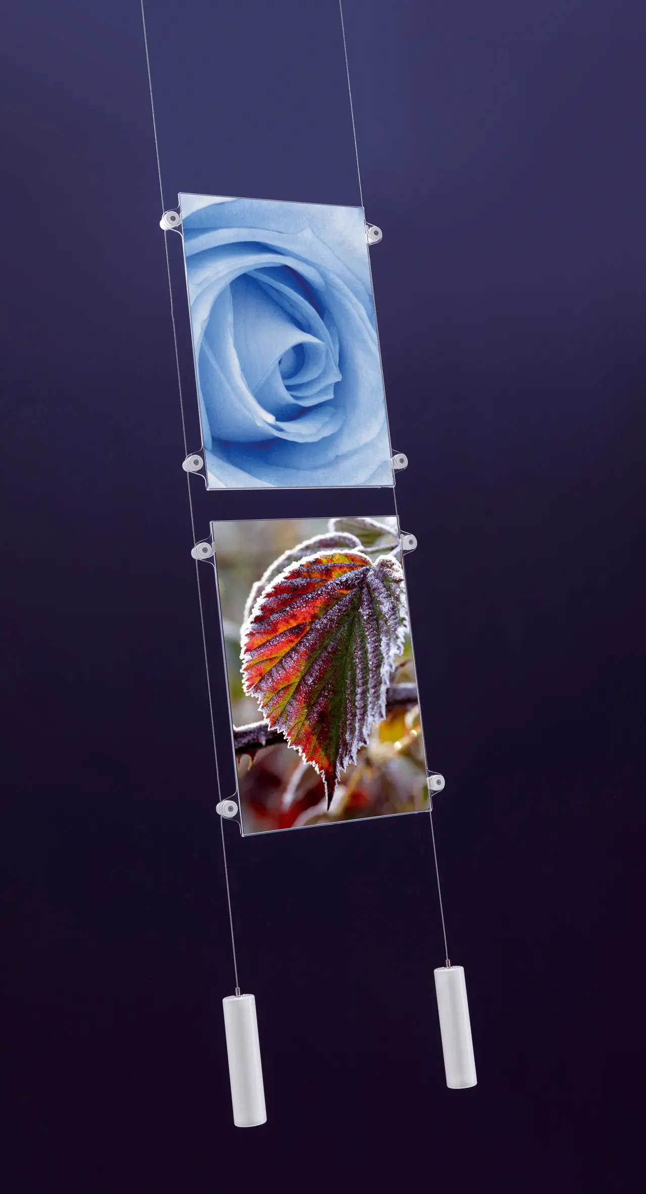 Caimi Brevetti - Koala T