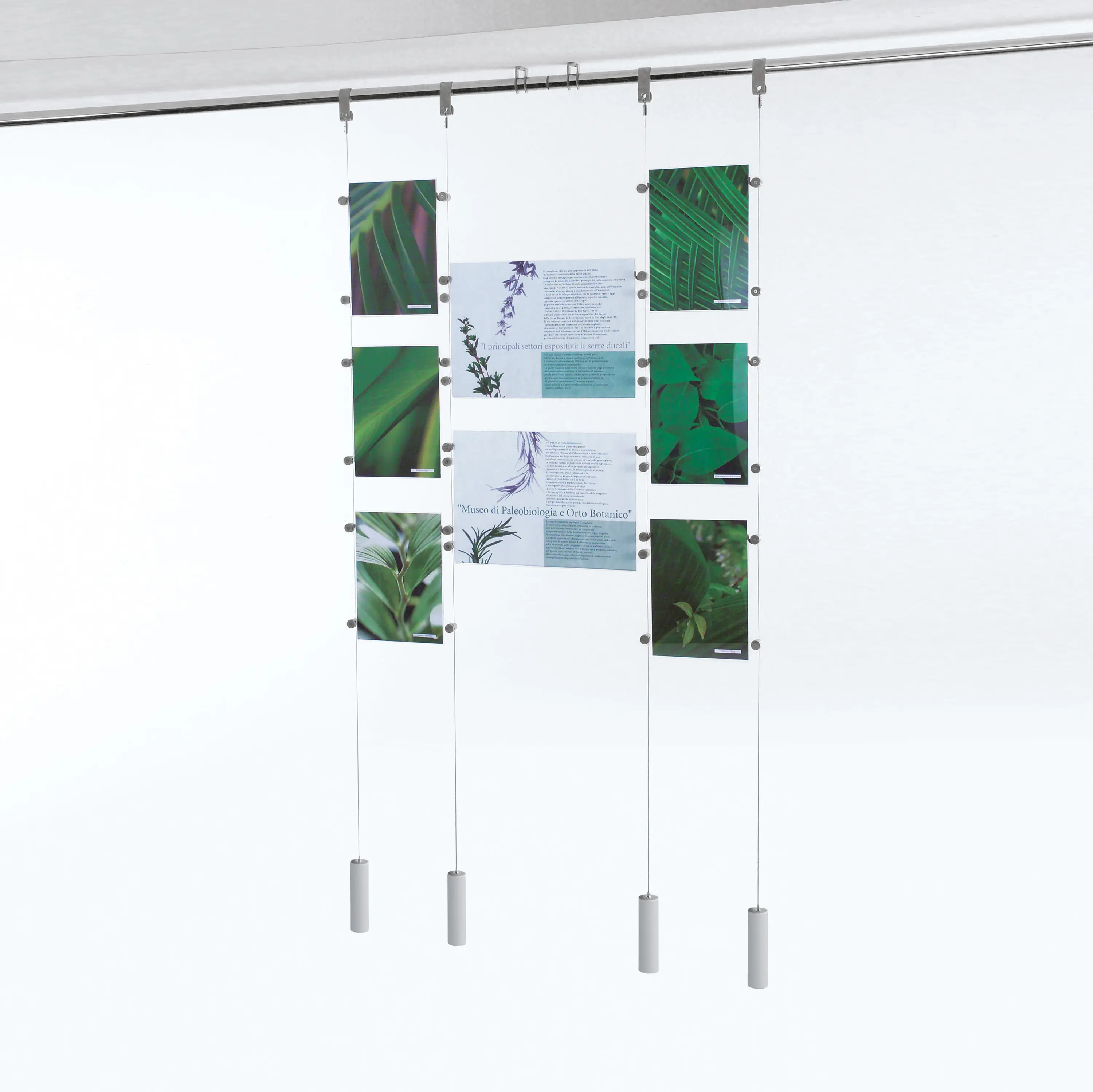 Caimi Brevetti - Koala T