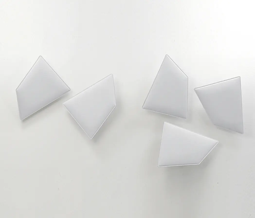 Caimi Brevetti - Flap