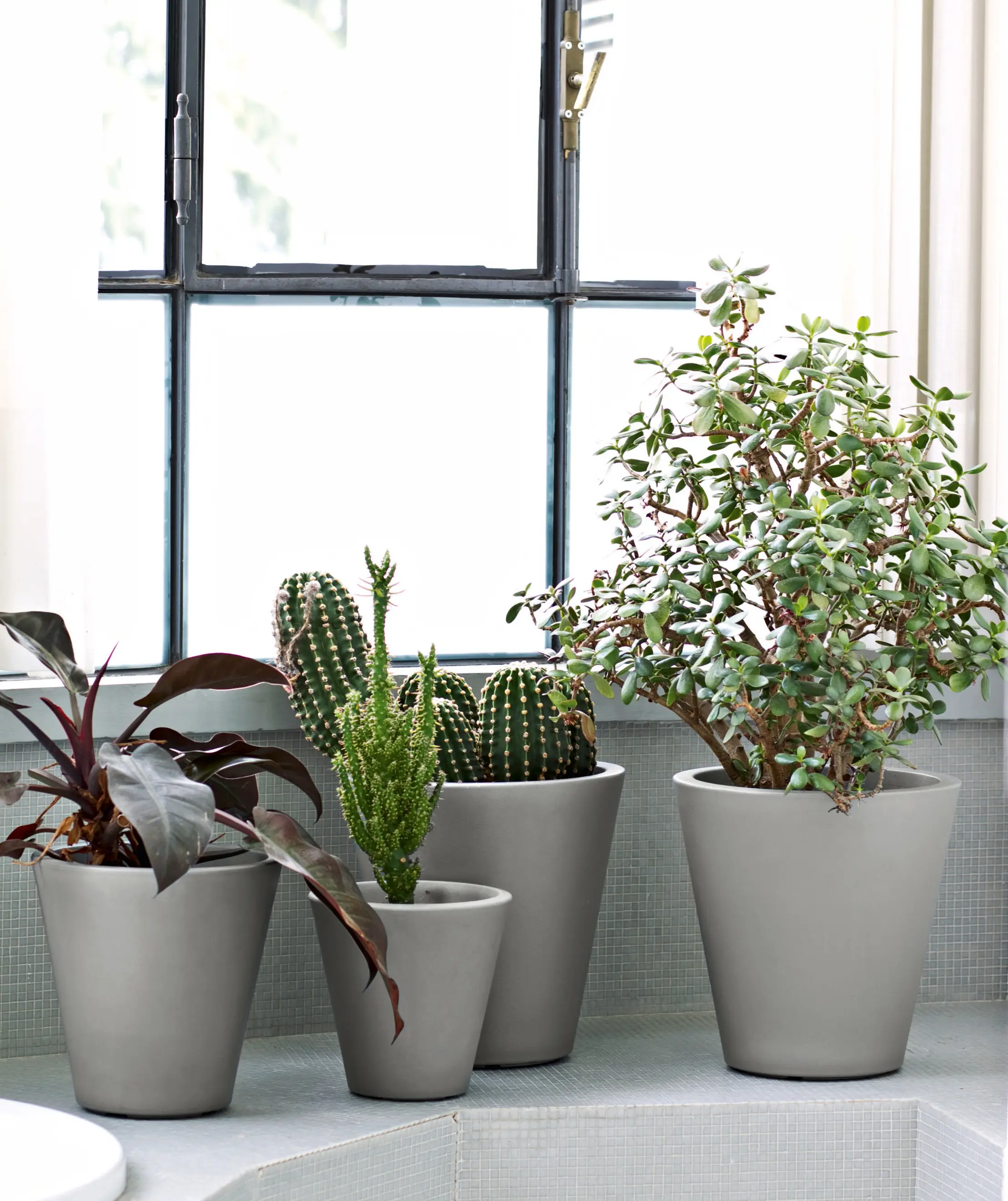 Serralunga - New Pot Light