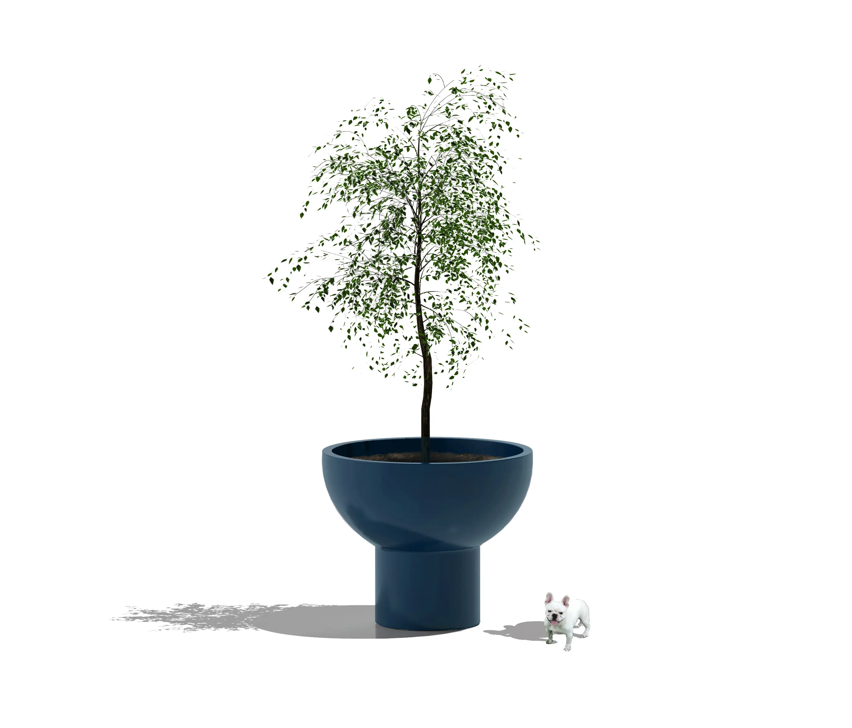 Serralunga - Primavera