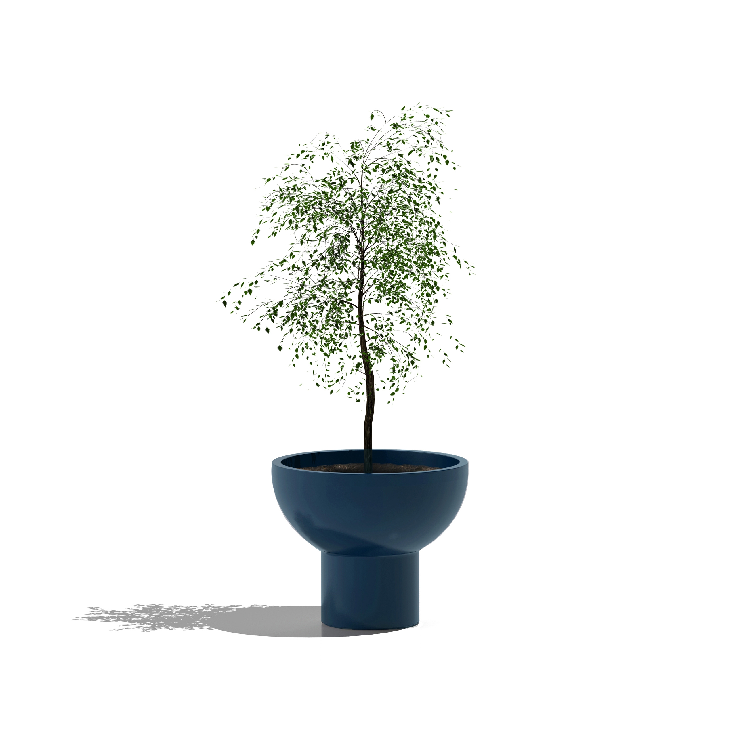 Display product Primavera from manufacturer Serralunga