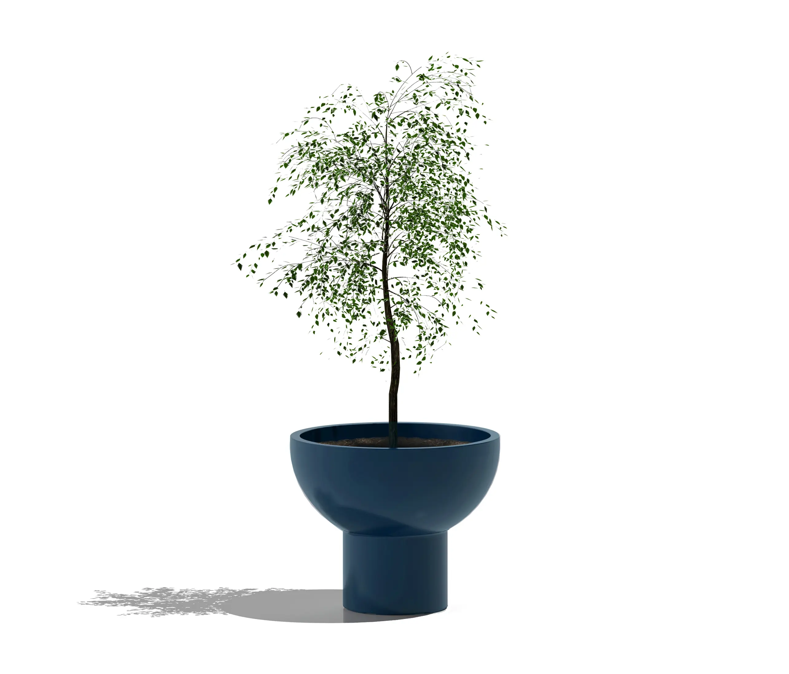 Serralunga - Primavera