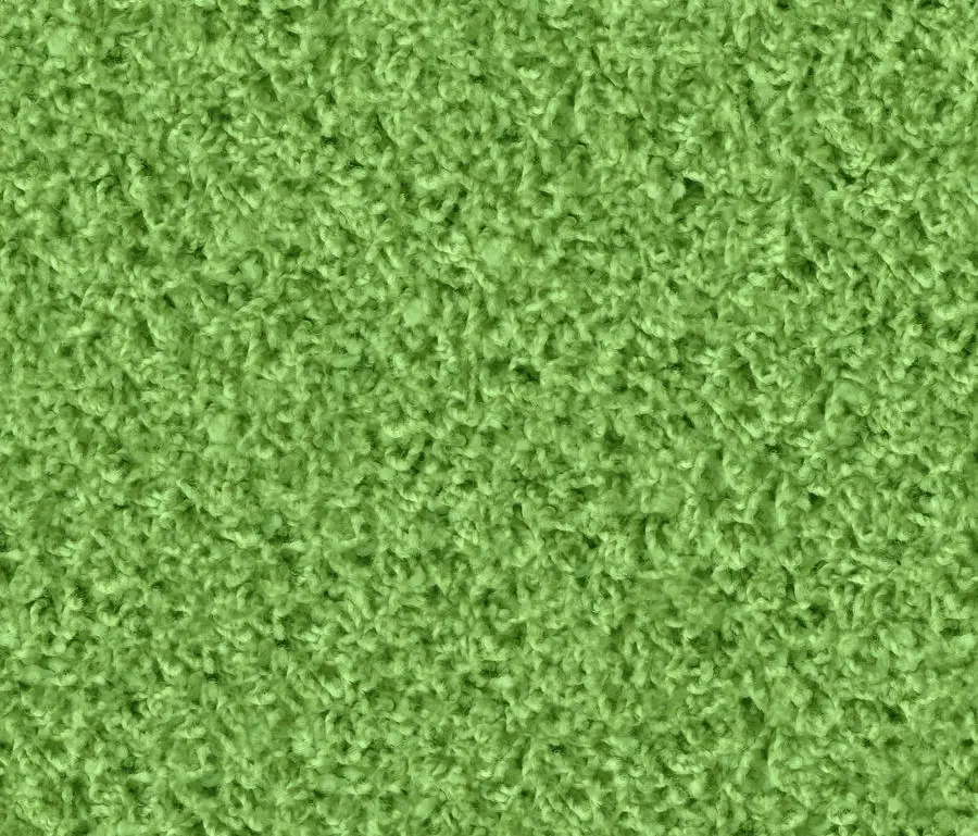 OBJECT CARPET - Poodle 1483 Mint