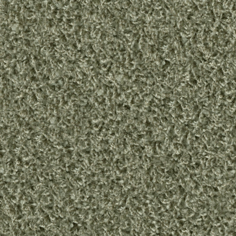 Poodle 1474 Schilf