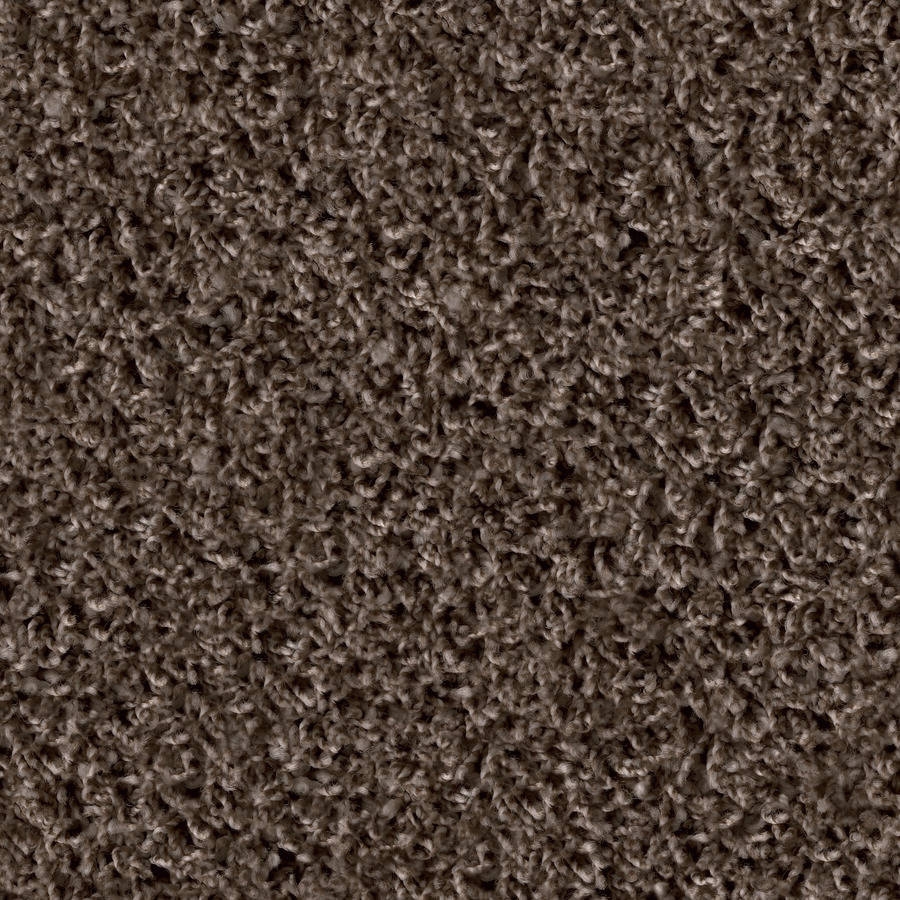 Poodle 1461 Schoko