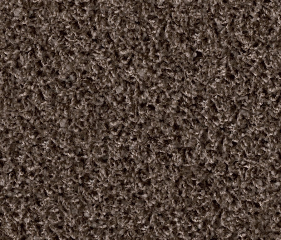 Display product Poodle 1461 Schoko from manufacturer OBJECT CARPET