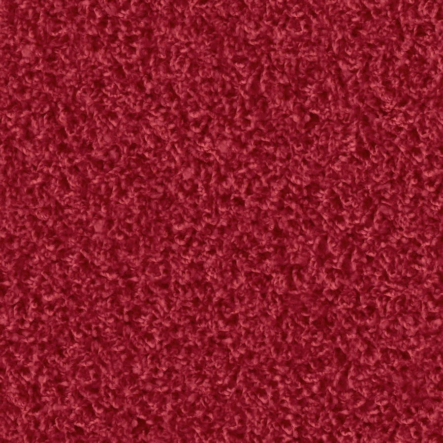 Poodle 1463 Vino Rosso