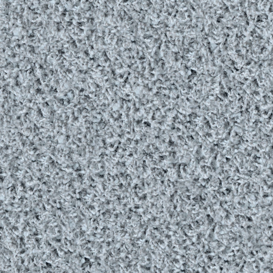 Poodle 1458 Taube