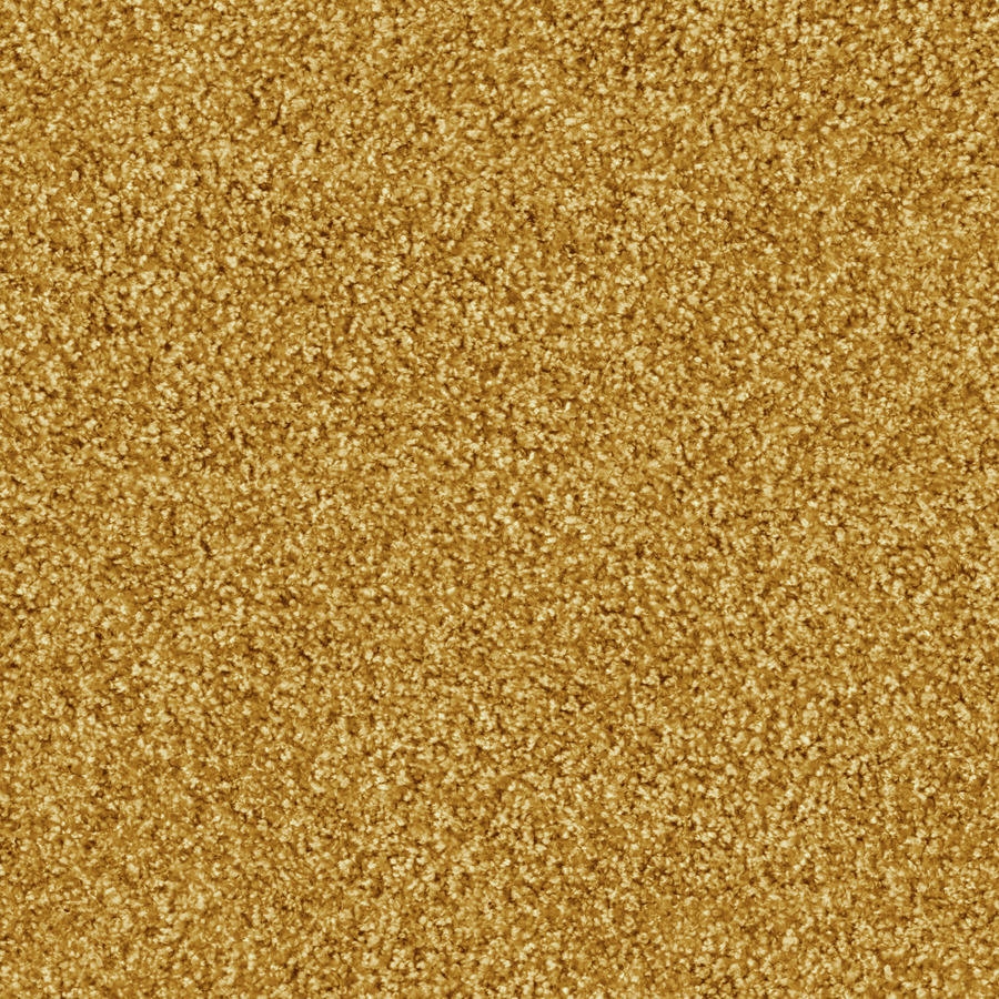 Glory 1501 Gold
