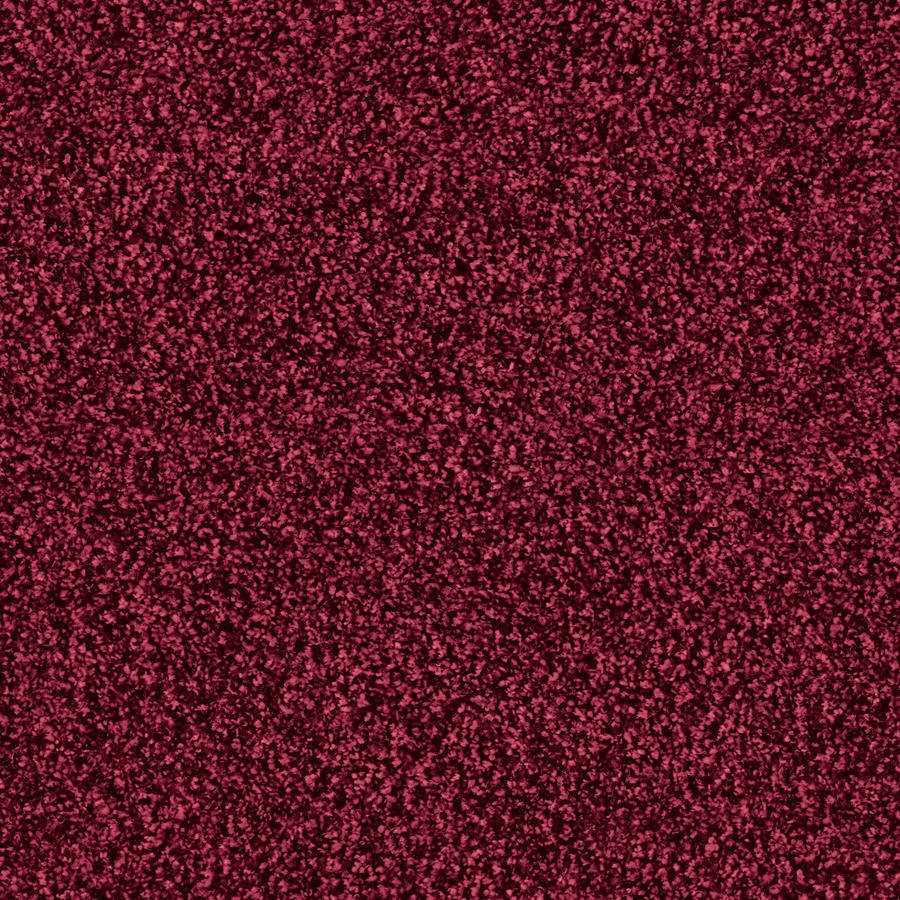Glory 1502 Ruby